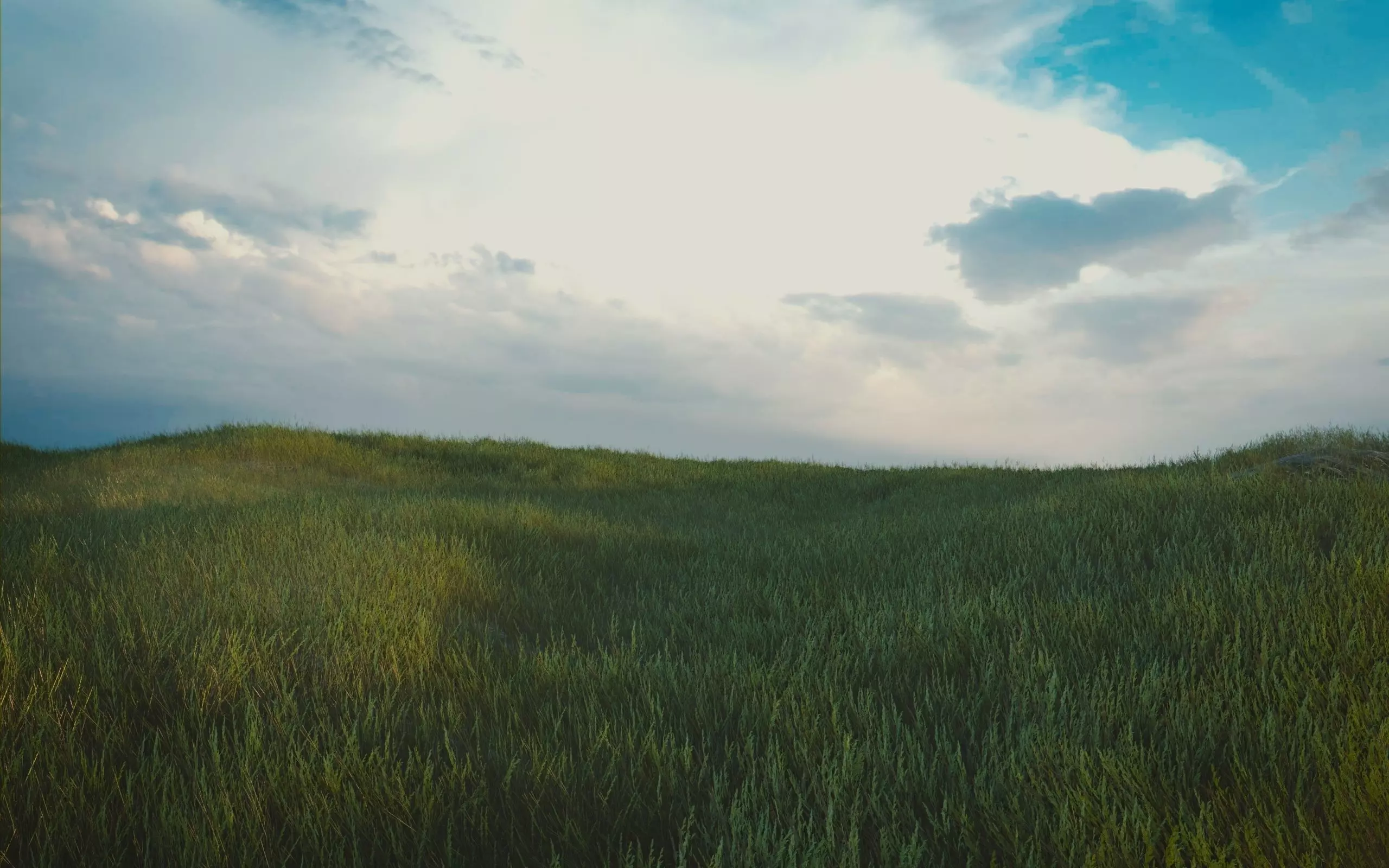 Grass grassy field under cloudy sky Free 3D model_0