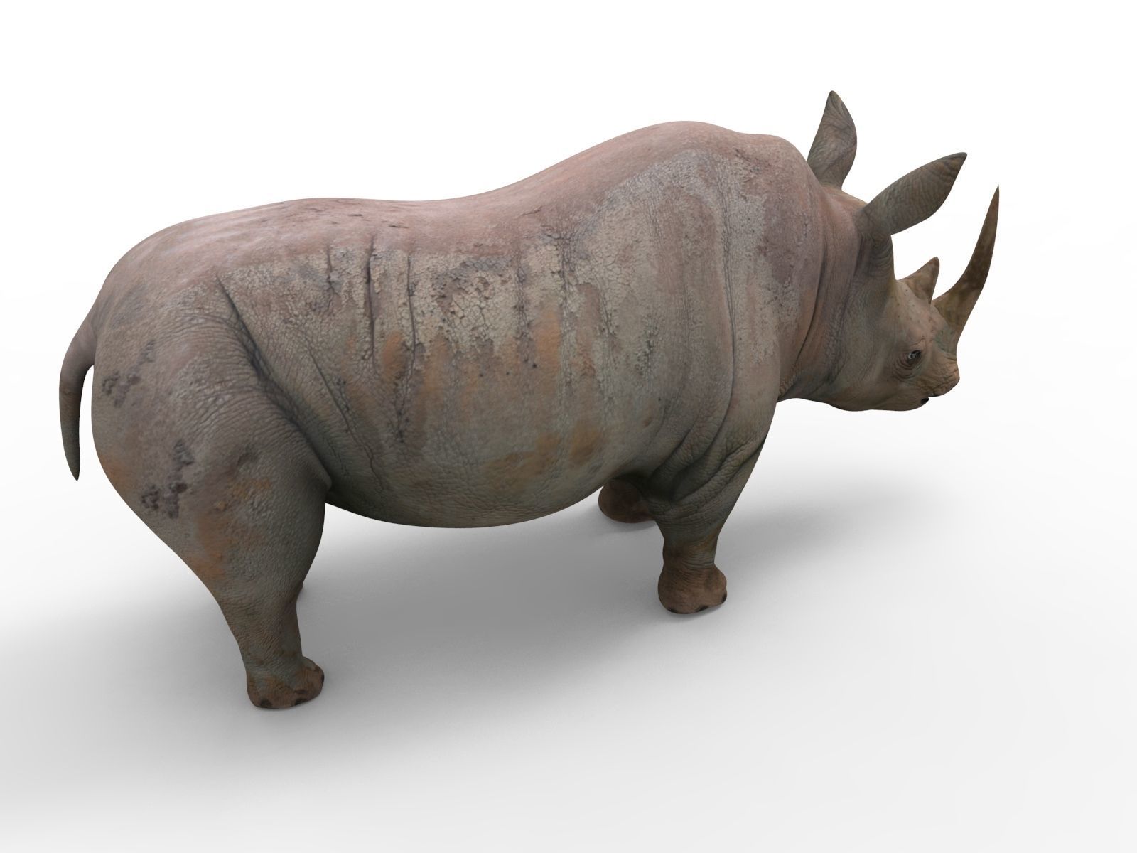 Rhino 3D Models game ready  Low-poly 3D model_6