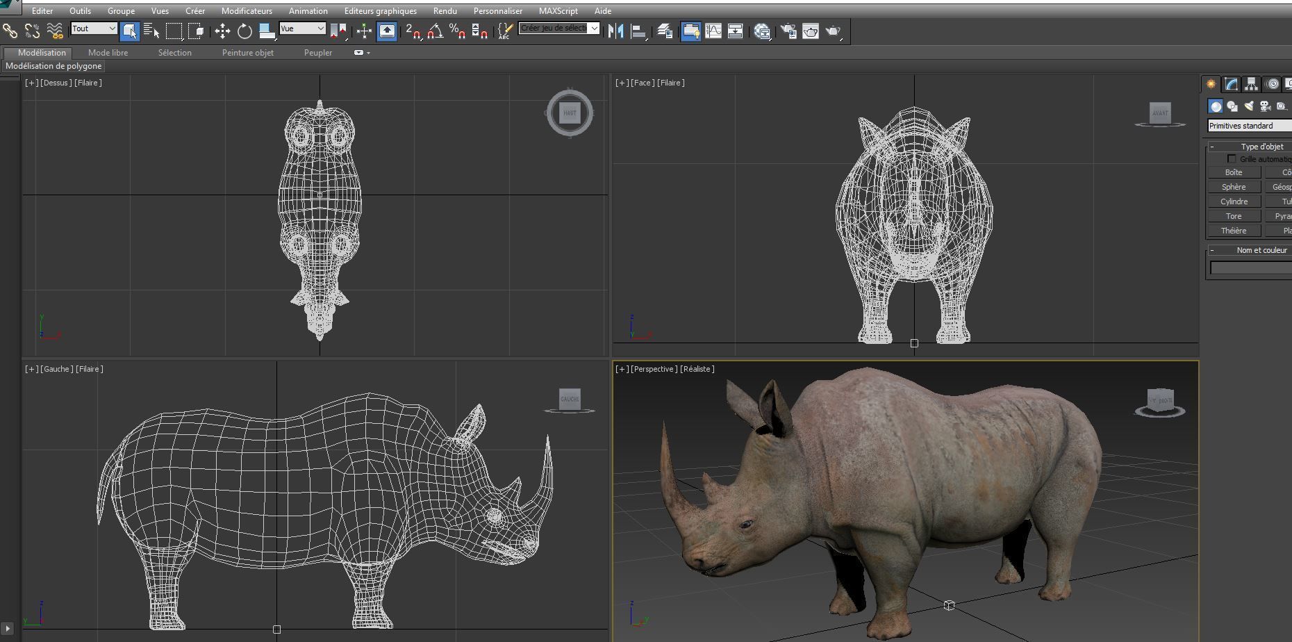 Rhino 3D Models game ready  Low-poly 3D model_18