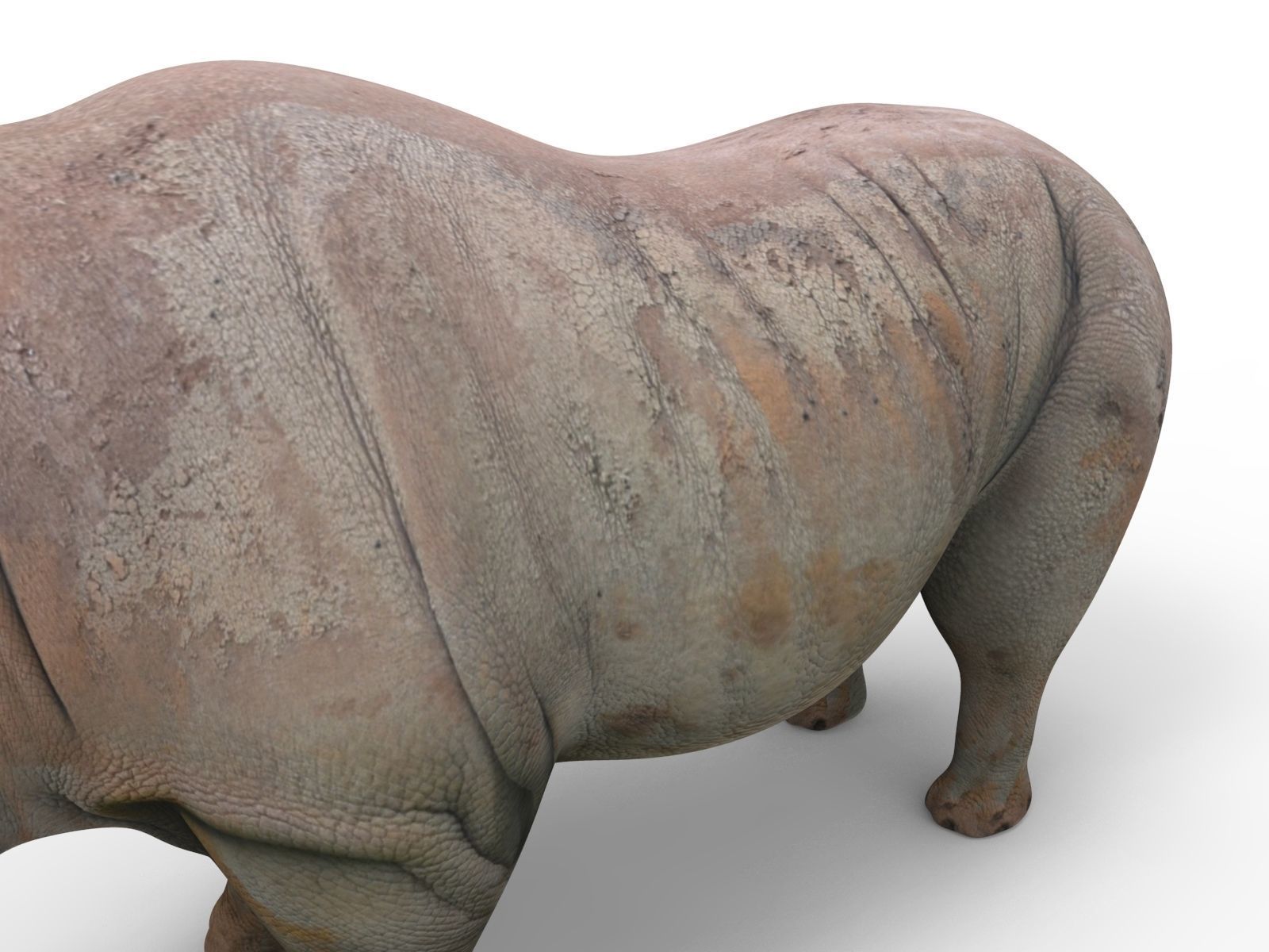 Rhino 3D Models game ready  Low-poly 3D model_12