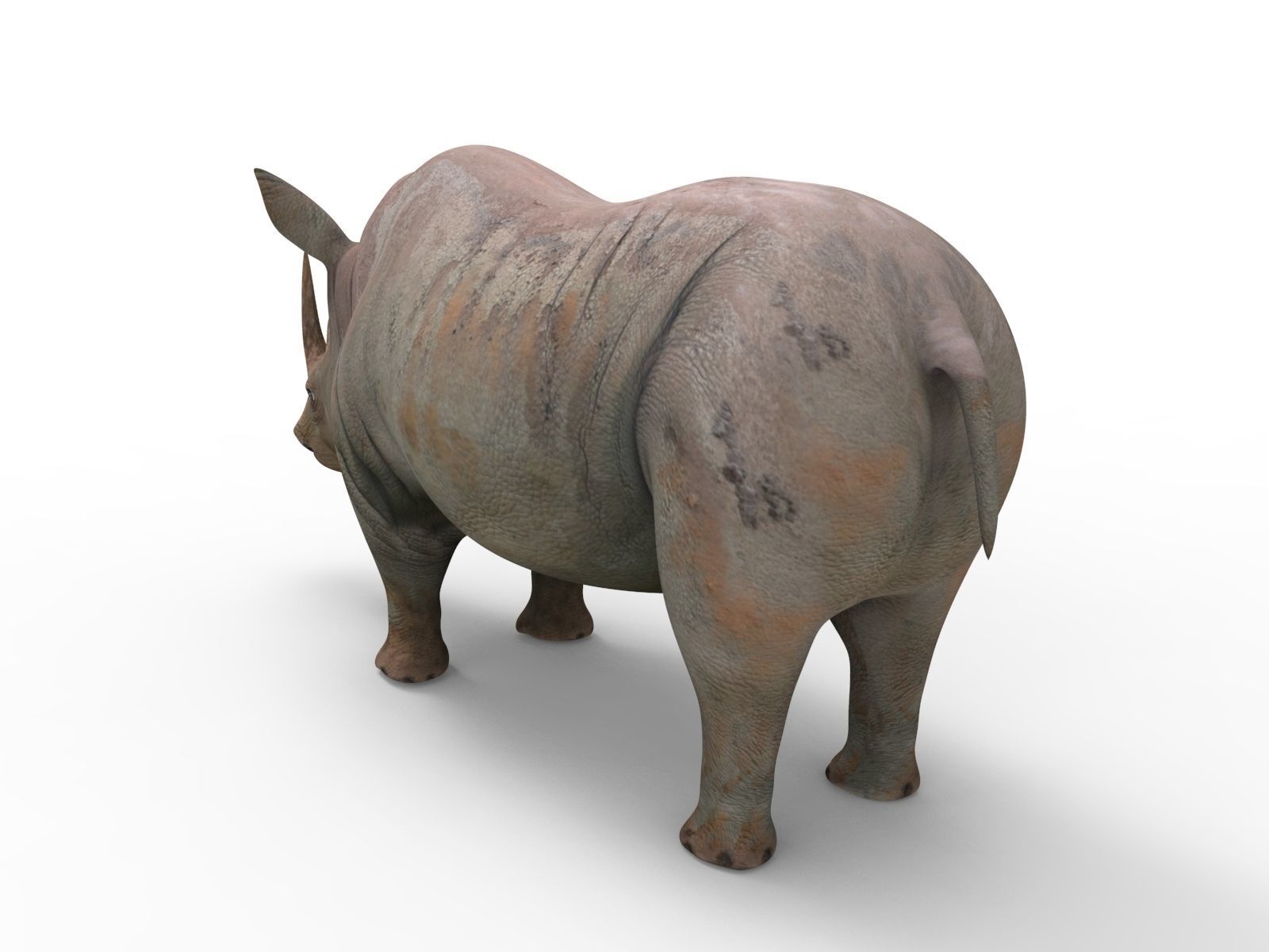 Rhino 3D Models game ready  Low-poly 3D model_8