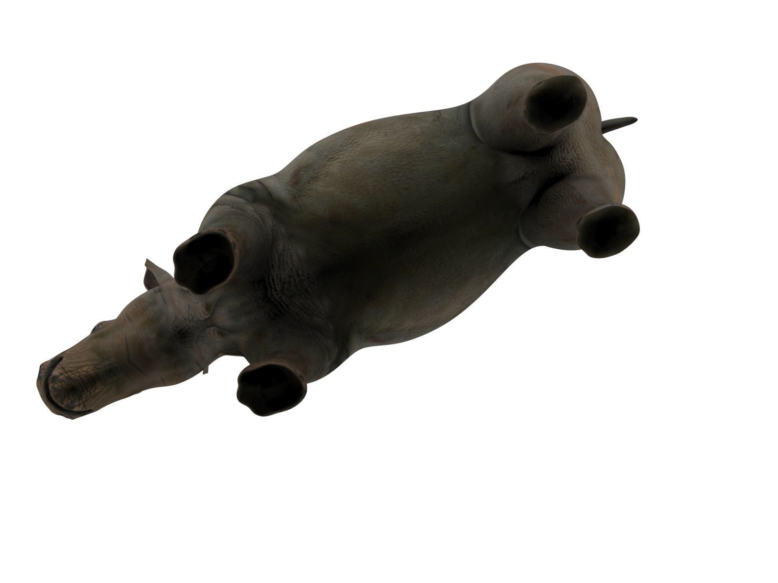 Rhino 3D Models game ready  Low-poly 3D model_9