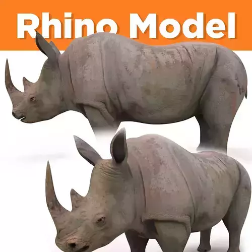 Rhino 3D Models game ready  Low-poly 3D model