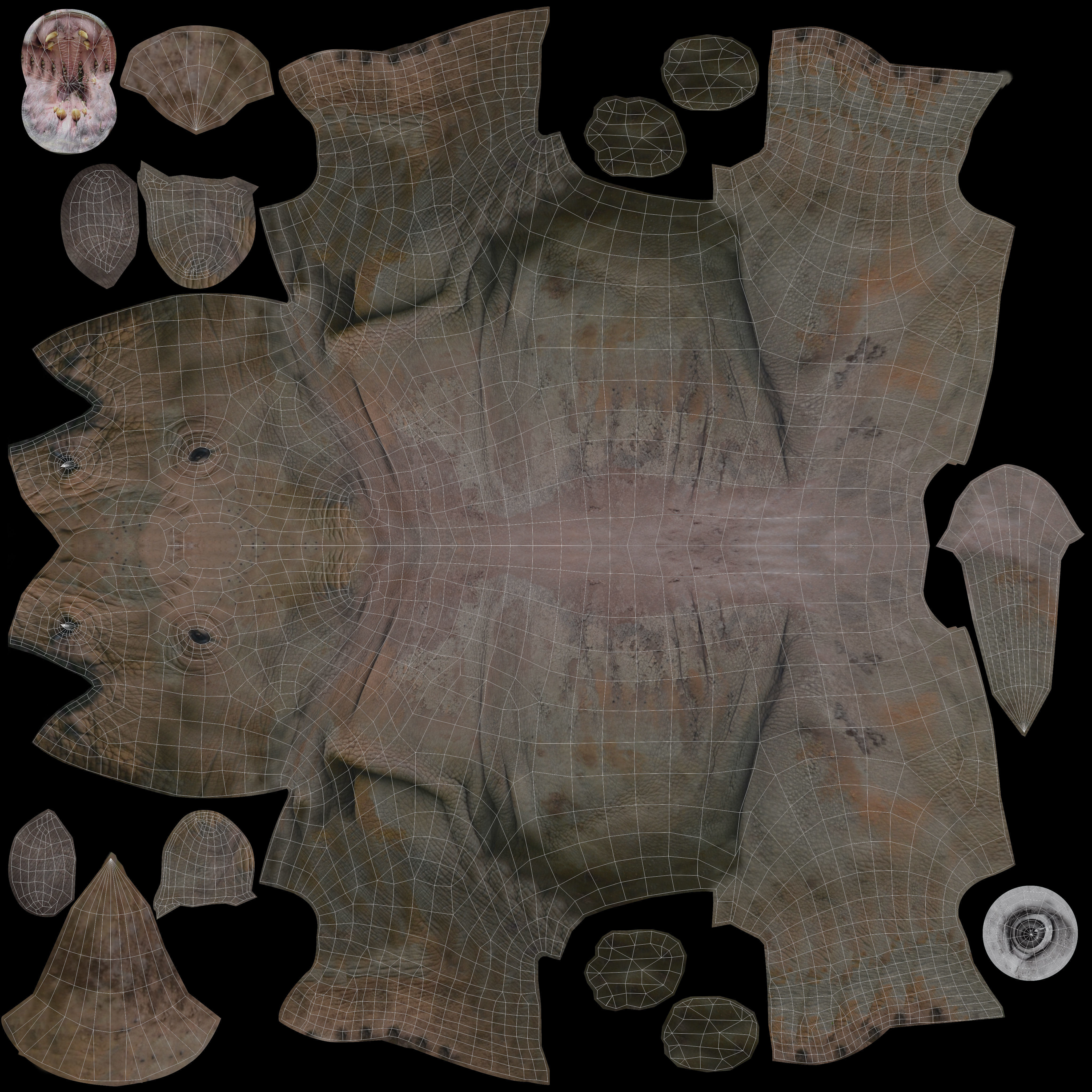 Rhino 3D Models game ready  Low-poly 3D model_19