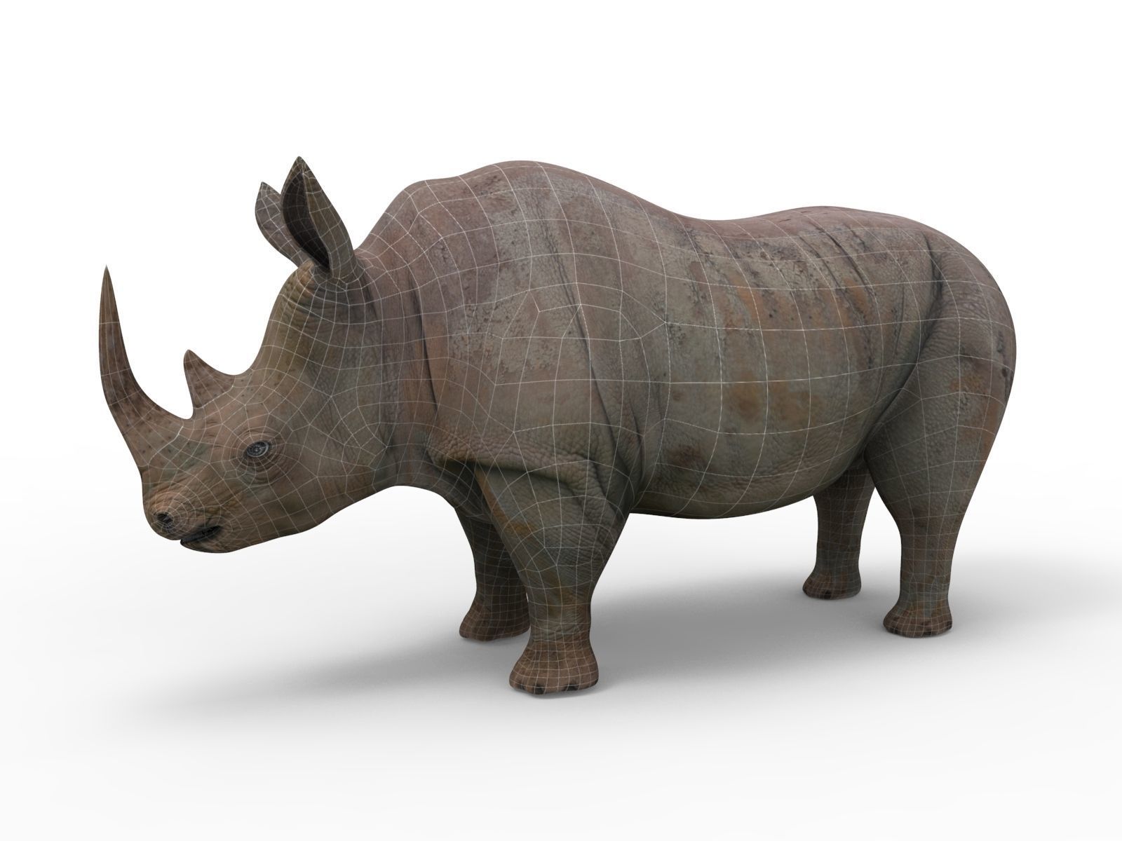 Rhino 3D Models game ready  Low-poly 3D model_11