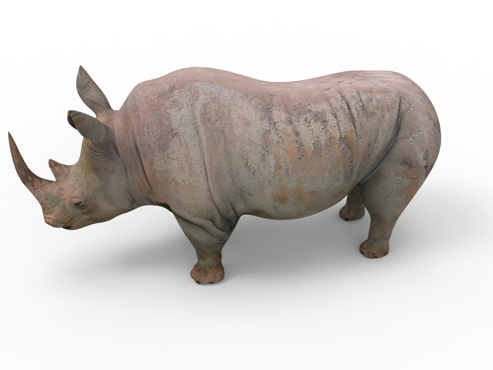 Rhino 3D Models game ready  Low-poly 3D model_10