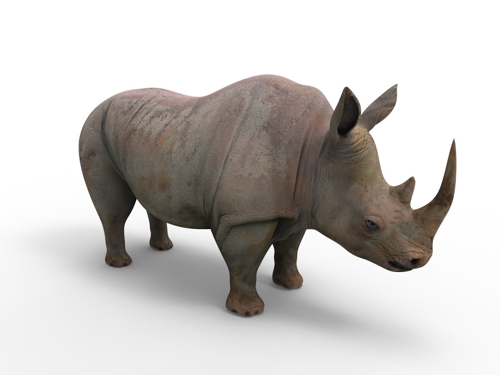 Rhino 3D Models game ready  Low-poly 3D model_4