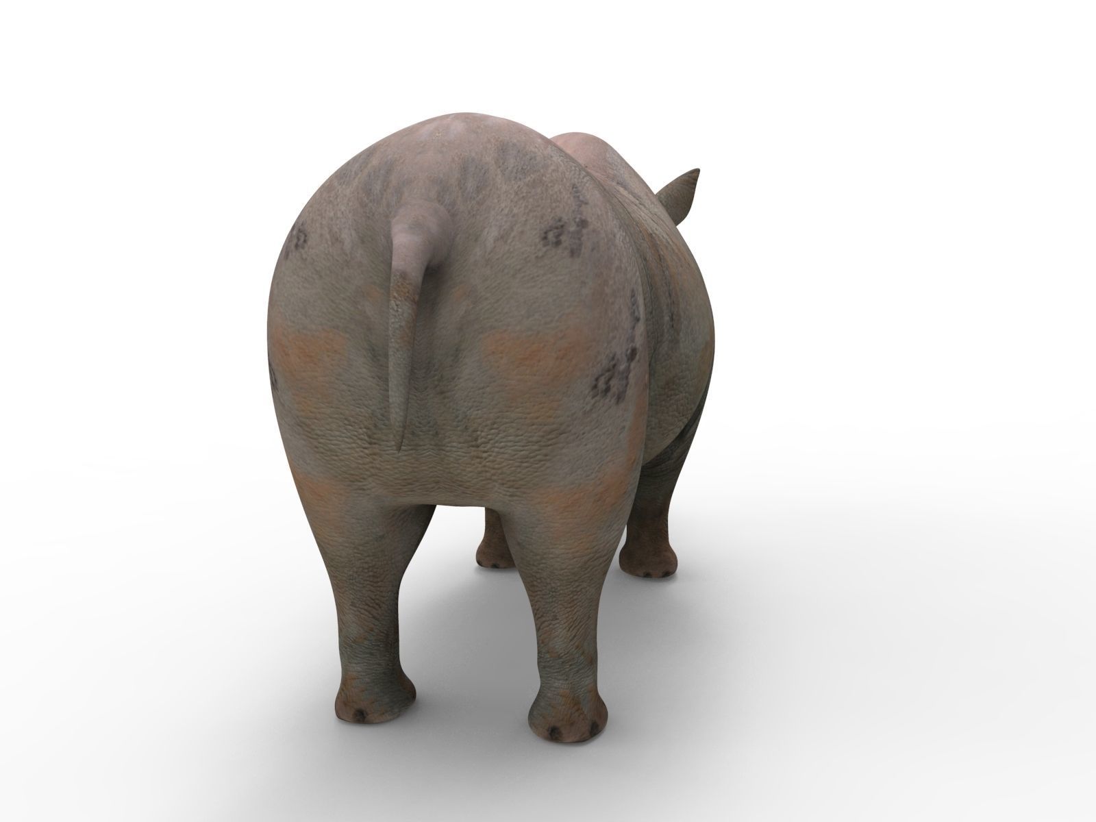 Rhino 3D Models game ready  Low-poly 3D model_7