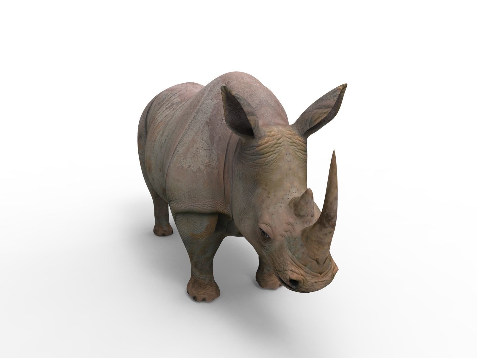 Rhino 3D Models game ready  Low-poly 3D model_1