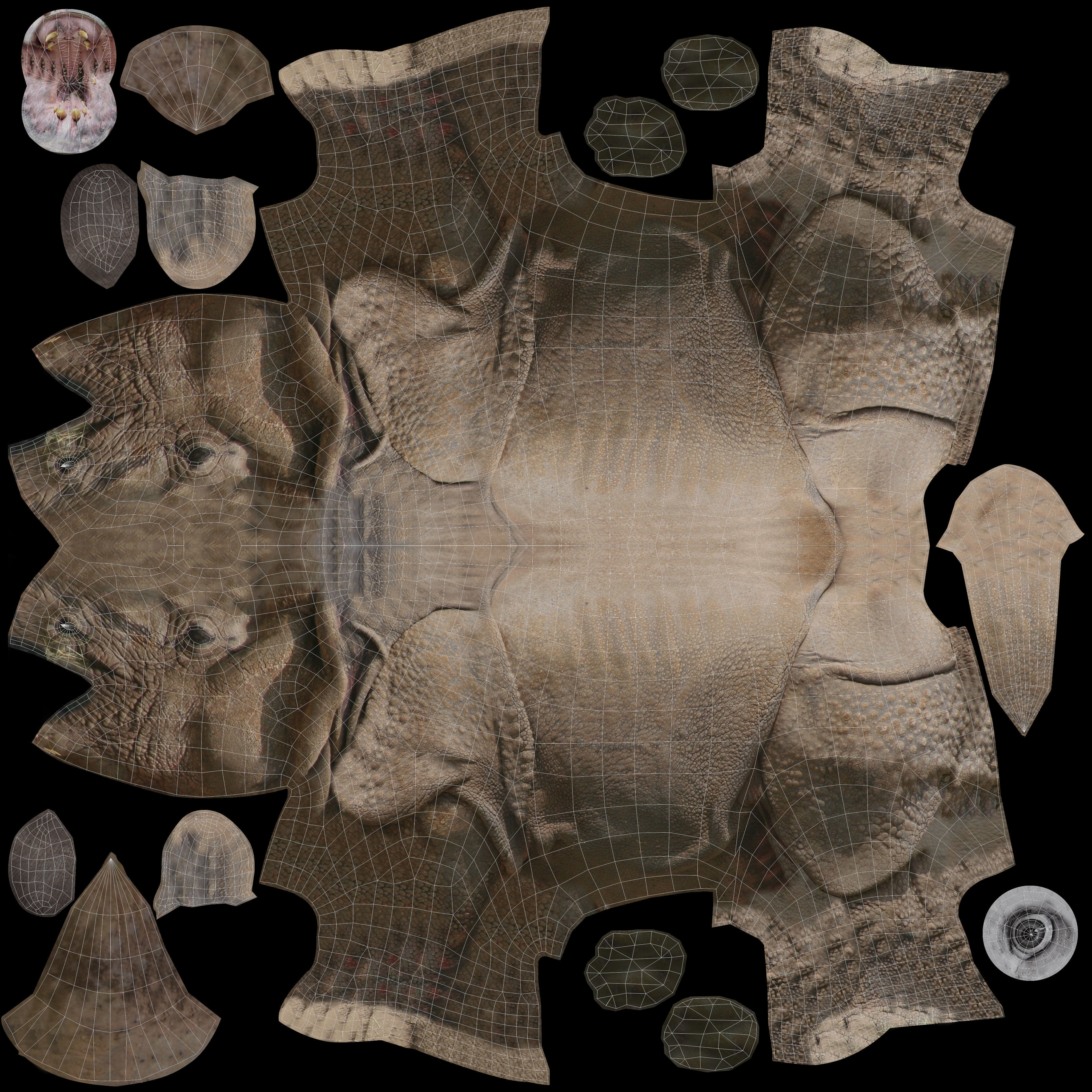 3D rhino rhinoceros realistic Model  Low-poly 3D model_17