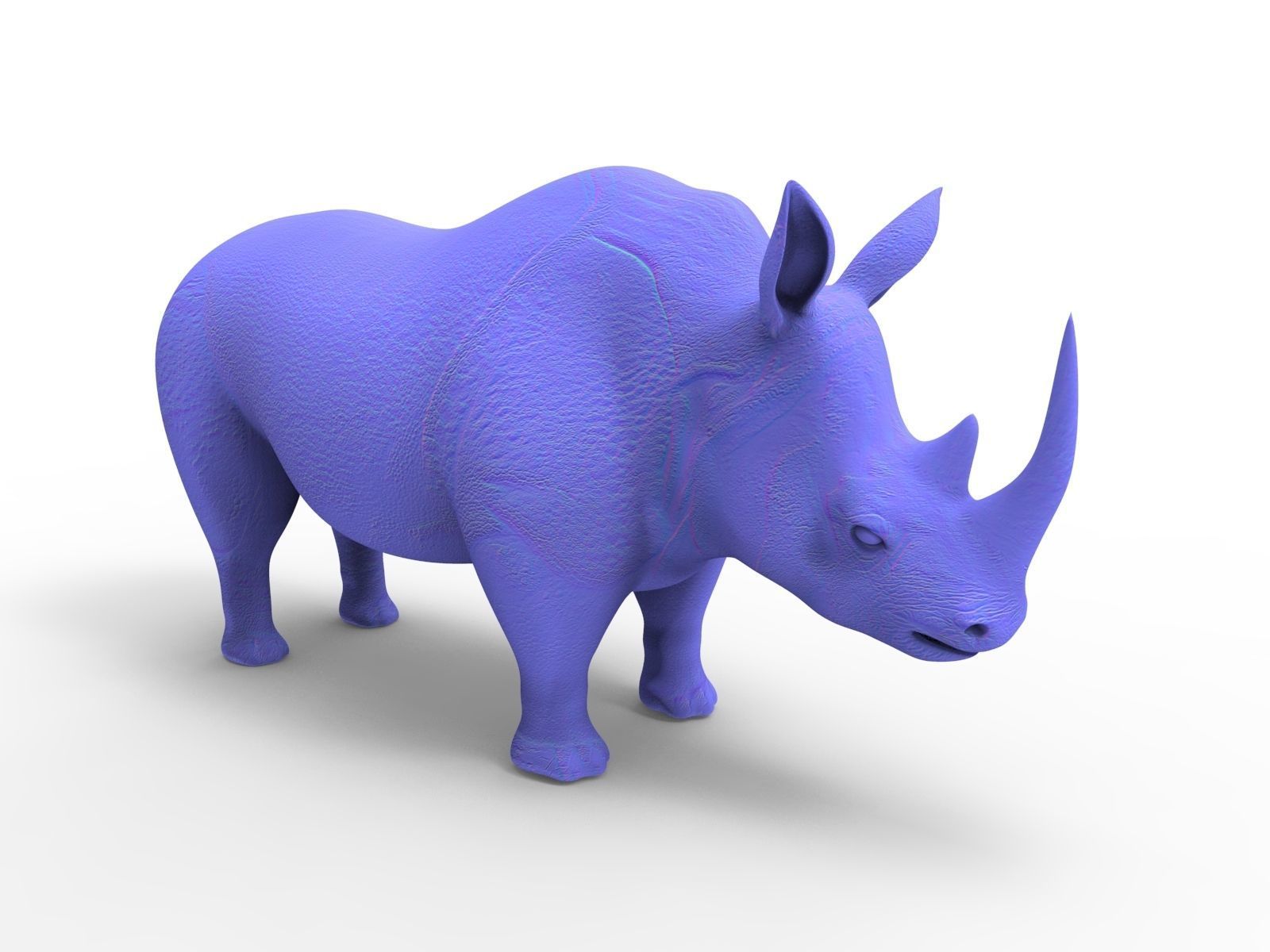 3D rhino rhinoceros realistic Model  Low-poly 3D model_13