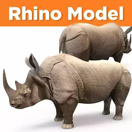 3D rhino rhinoceros realistic Model  Low-poly 3D model