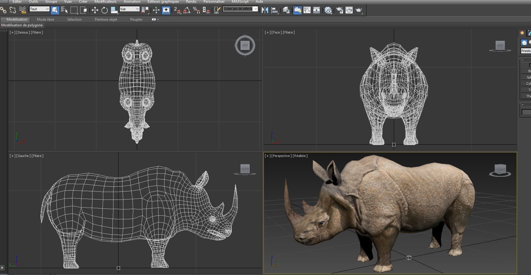 3D rhino rhinoceros realistic Model  Low-poly 3D model_22