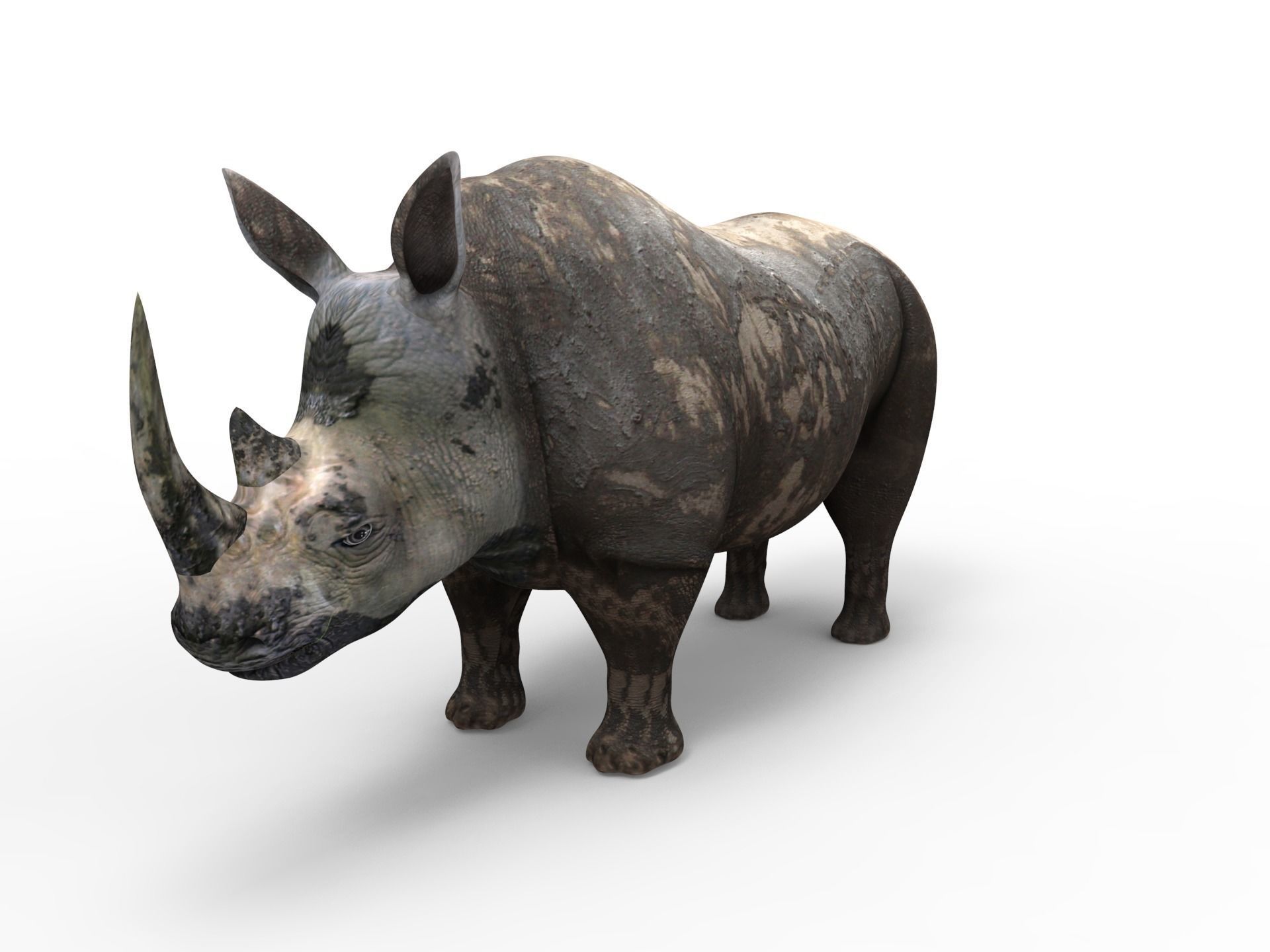  3D Models game ready Dirty Realistic Rhino Low-poly 3D model_2