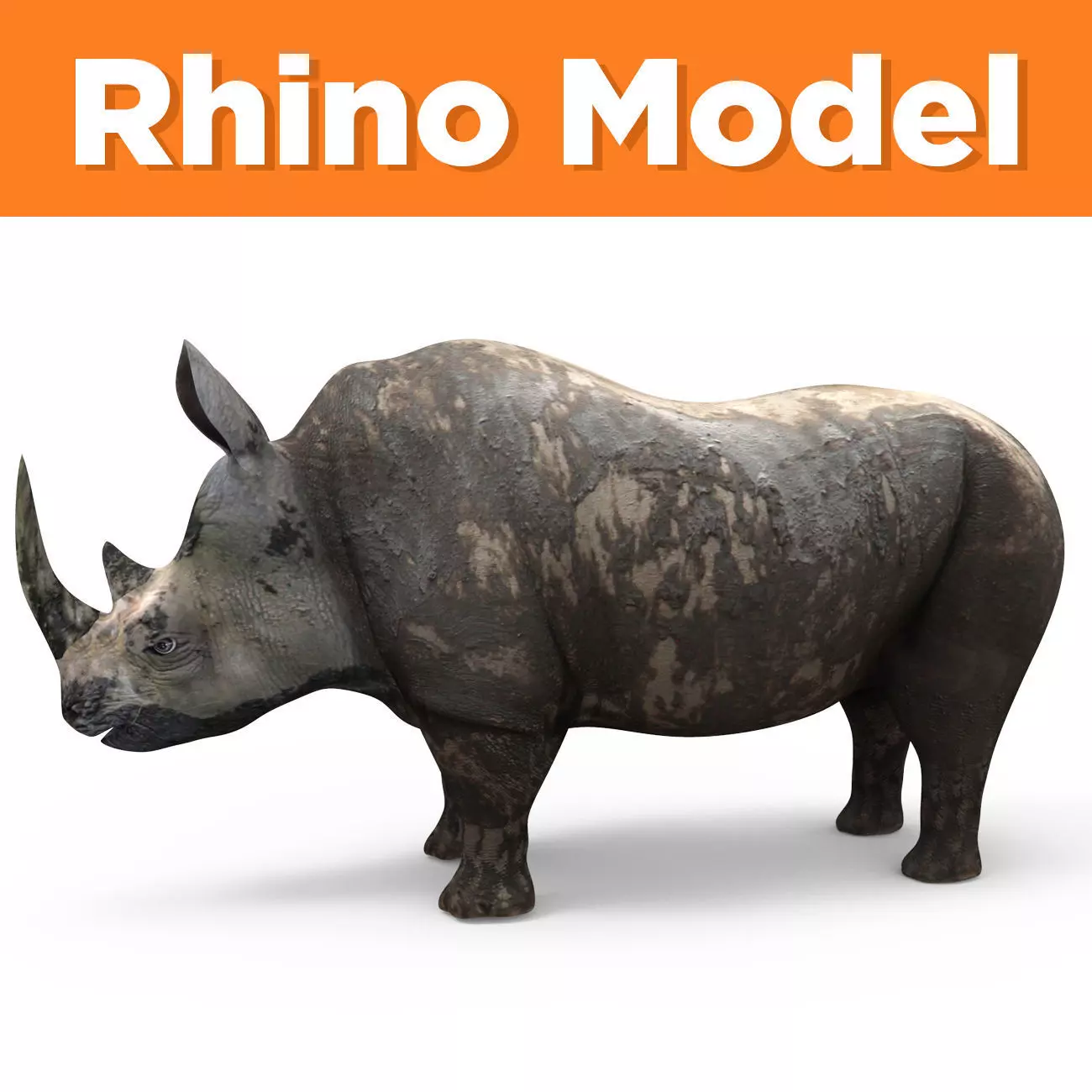  3D Models game ready Dirty Realistic Rhino Low-poly 3D model_0