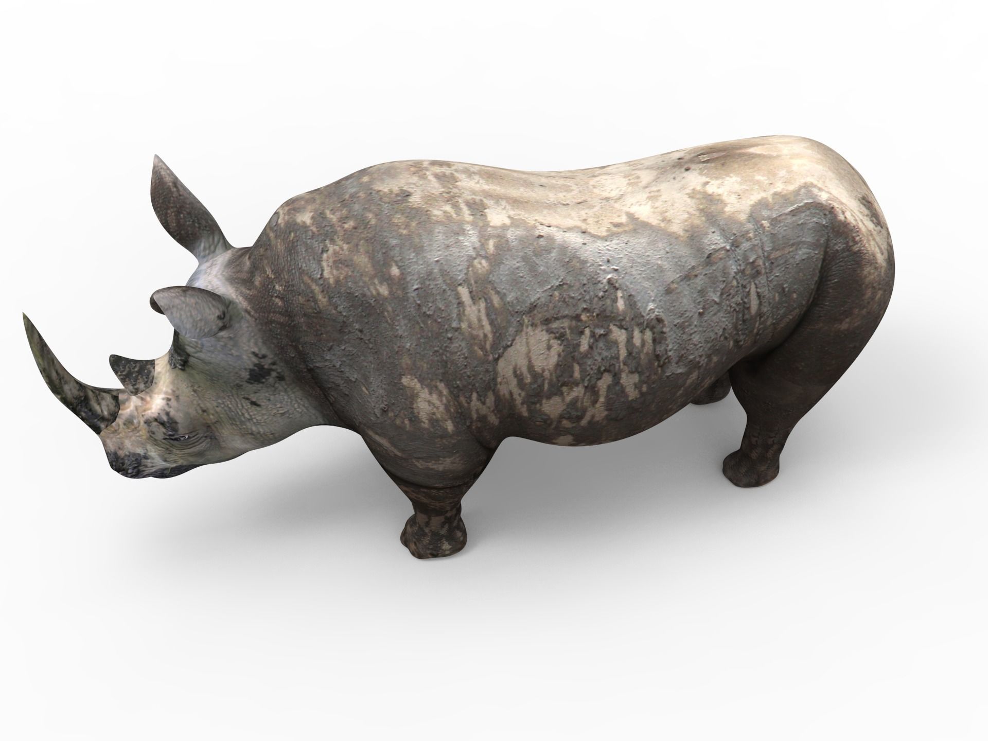  3D Models game ready Dirty Realistic Rhino Low-poly 3D model_16