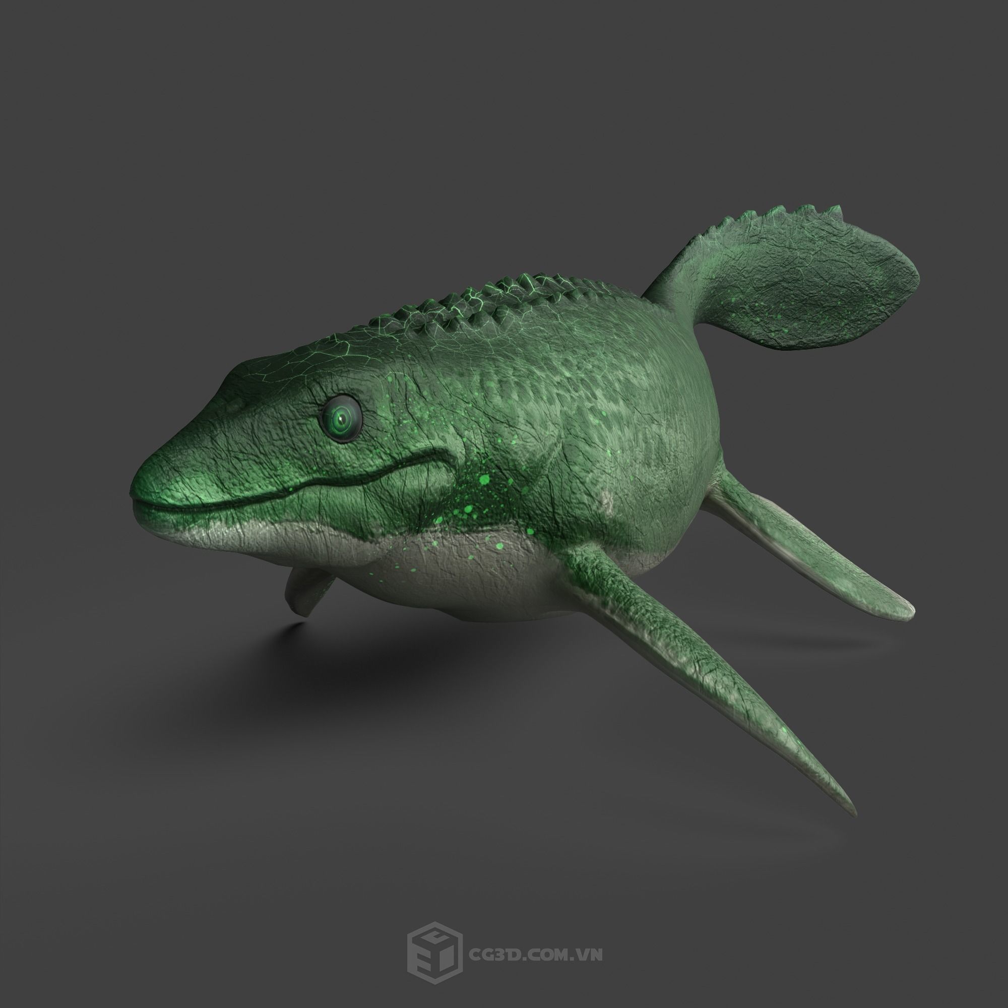 Dinosaur - Mosasaurus 3D model_3