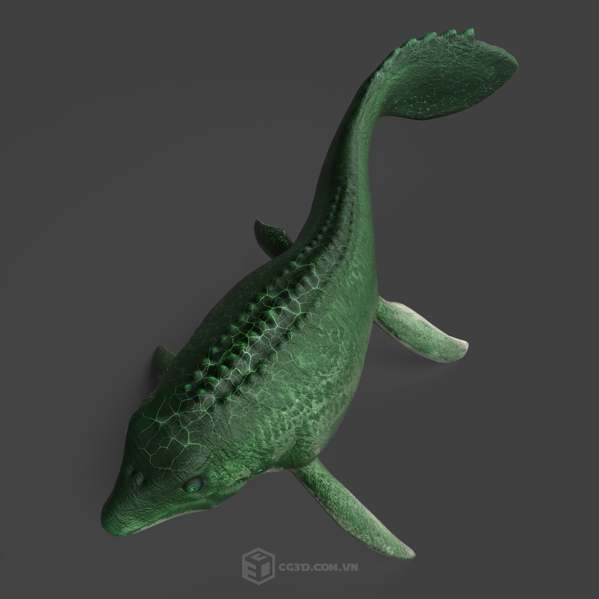 Dinosaur - Mosasaurus 3D model_2