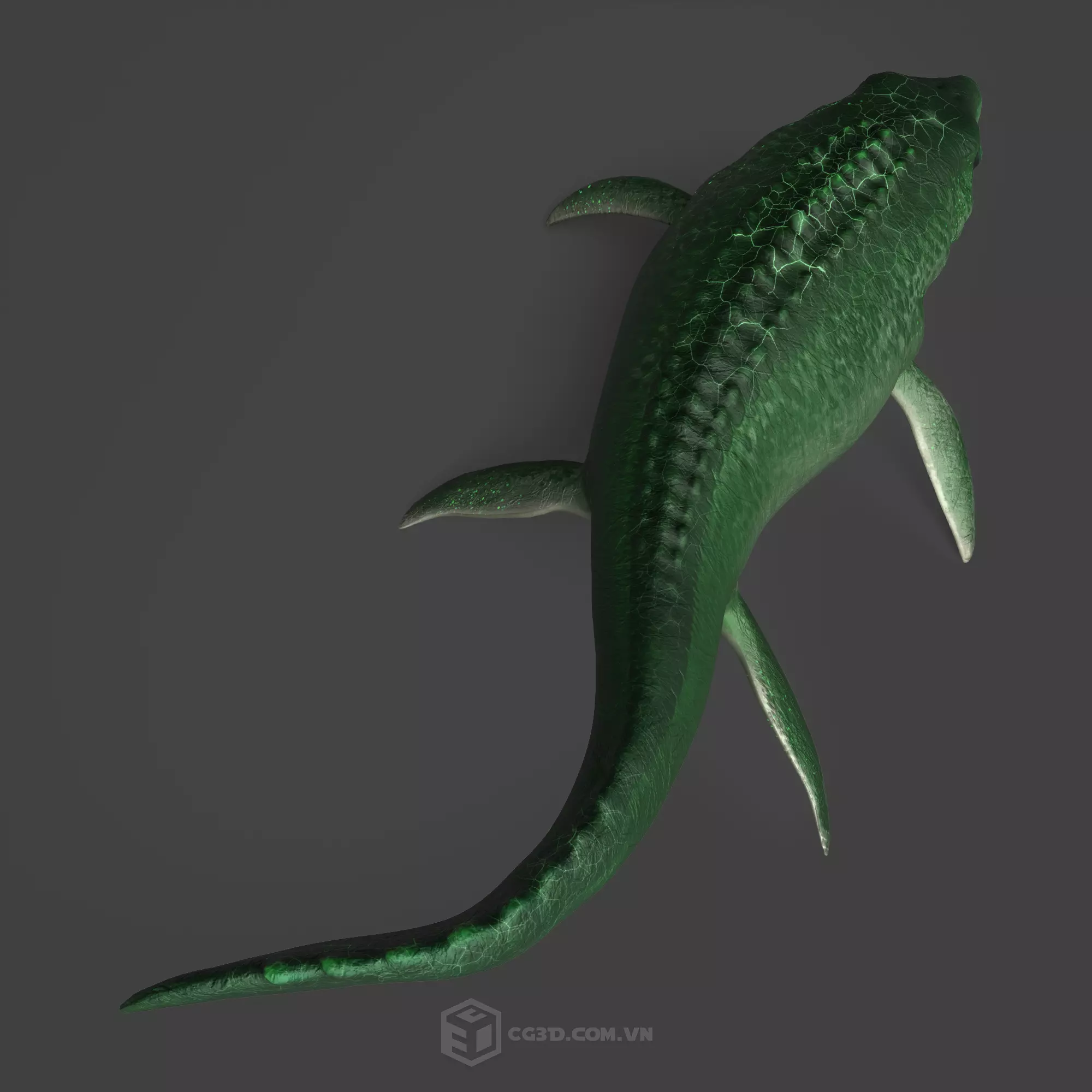 Dinosaur - Mosasaurus 3D model_0