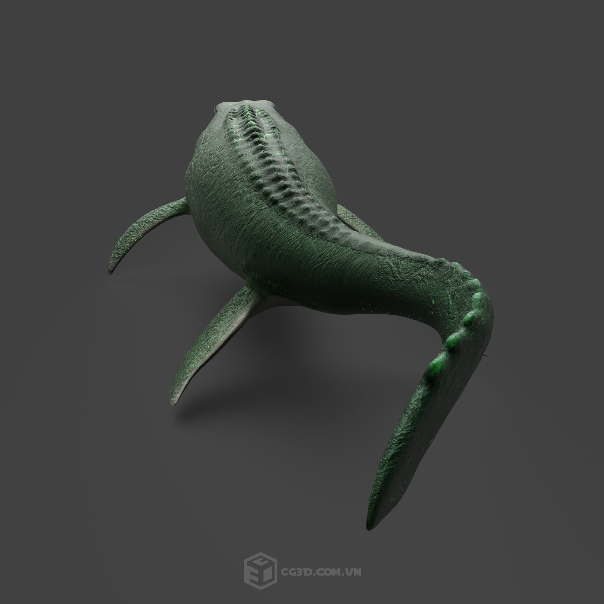 Dinosaur - Mosasaurus 3D model_4