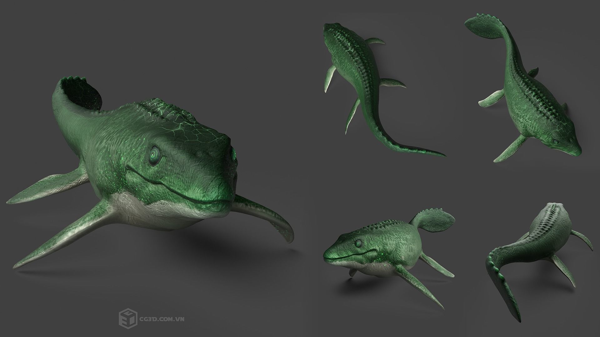 Dinosaur - Mosasaurus 3D model_5