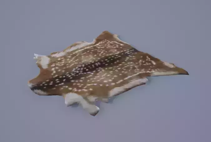 Animal Pelt Hide - 2 Variations