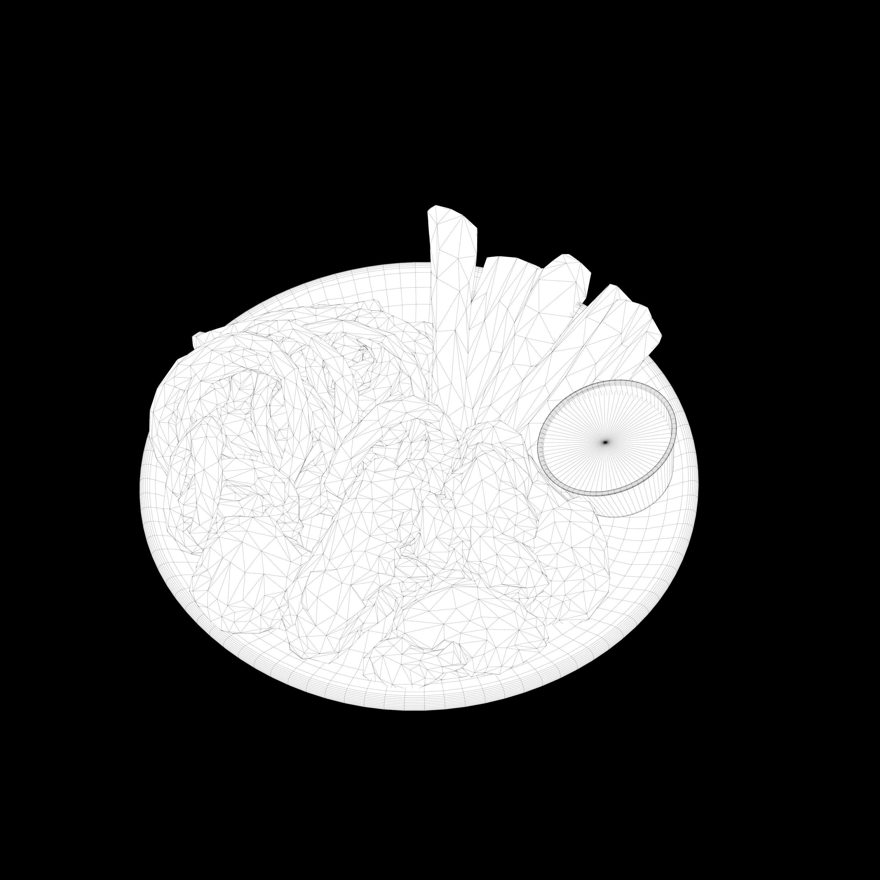 fried chicken with french fries Low-poly 3D Low-poly 3D model_12