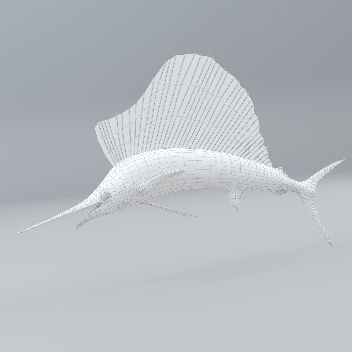 Sailfish 3D model_7