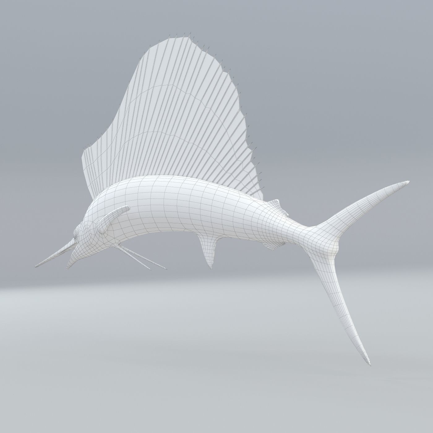 Sailfish 3D model_9