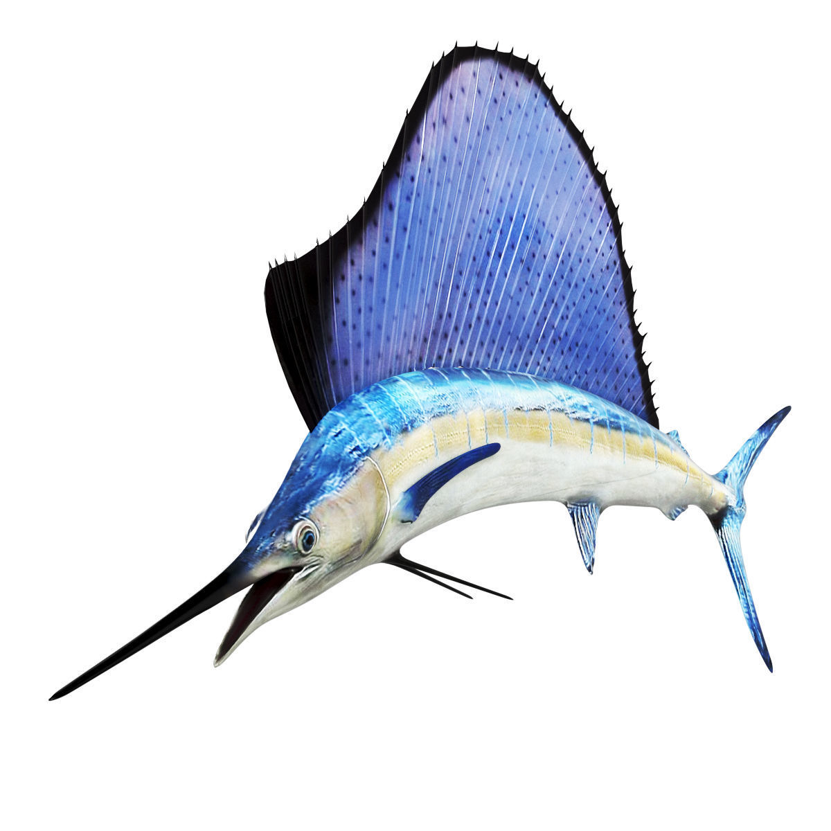 Sailfish 3D model_1