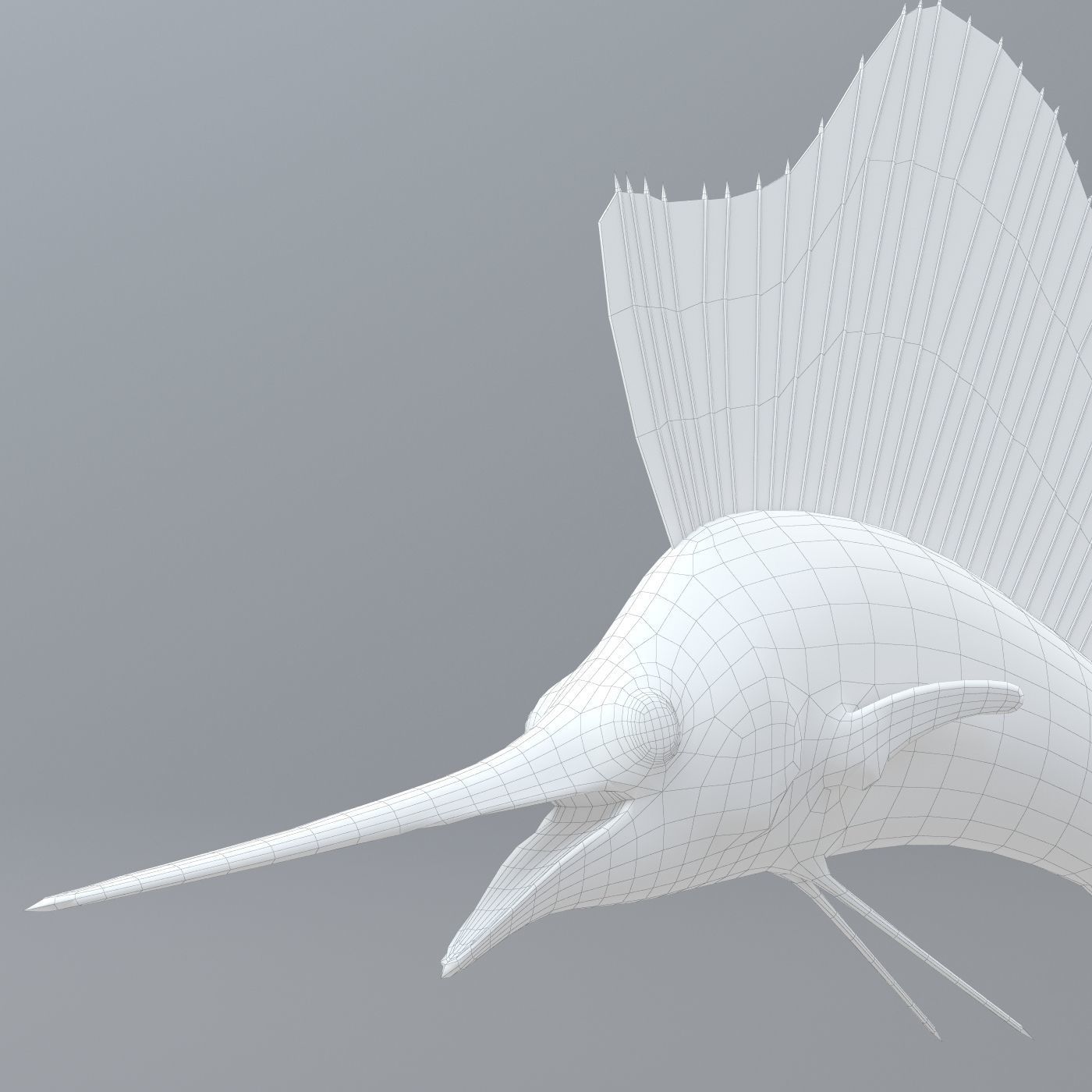 Sailfish 3D model_8