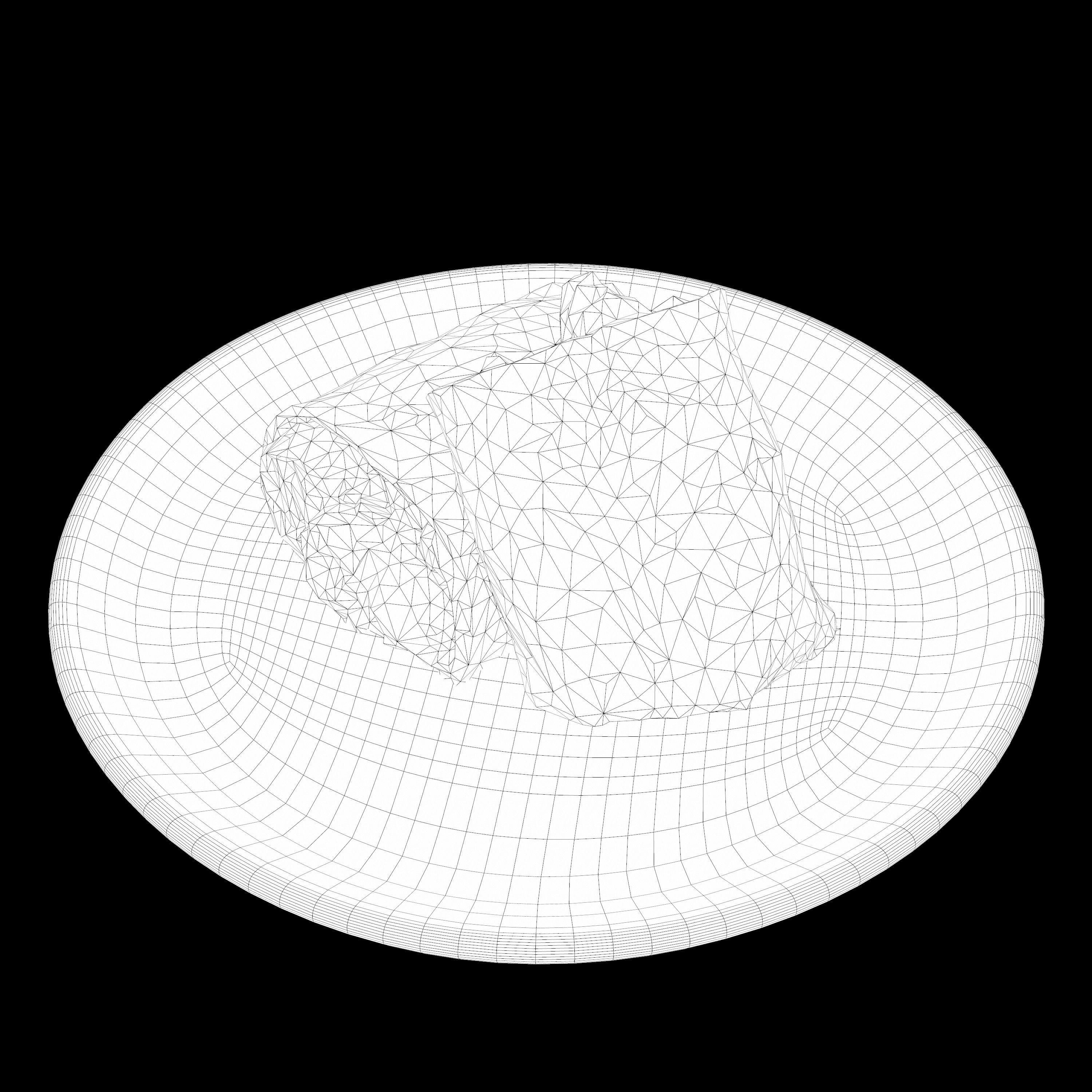 shawarma Low-poly 3D model burrito on plate Low-poly 3D model_12