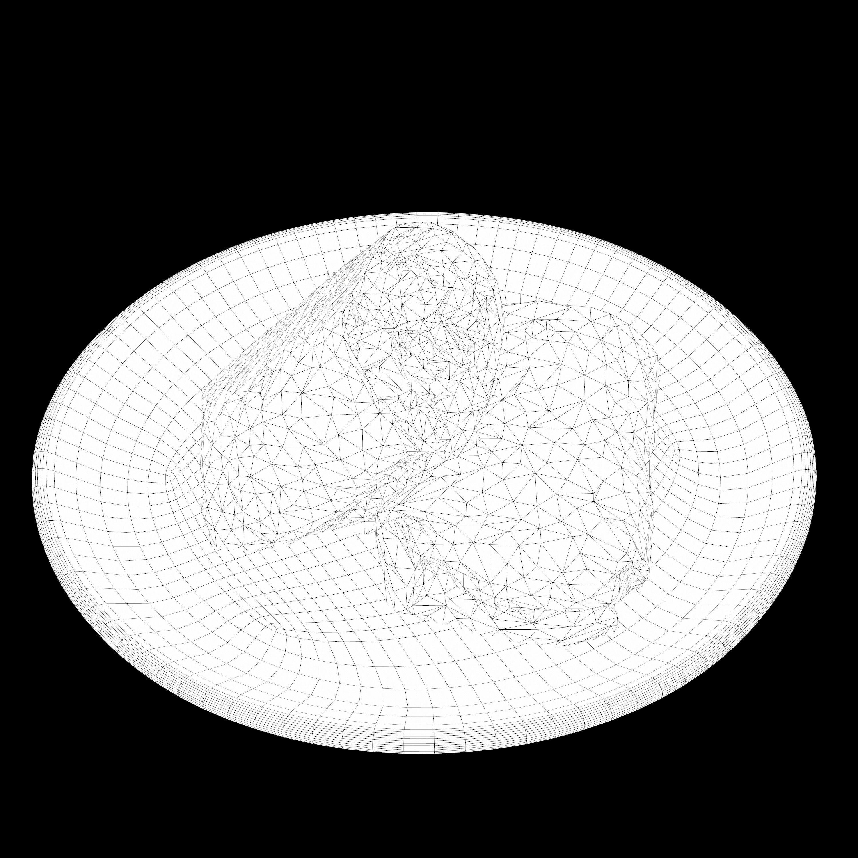 shawarma Low-poly 3D model burrito on plate Low-poly 3D model_15