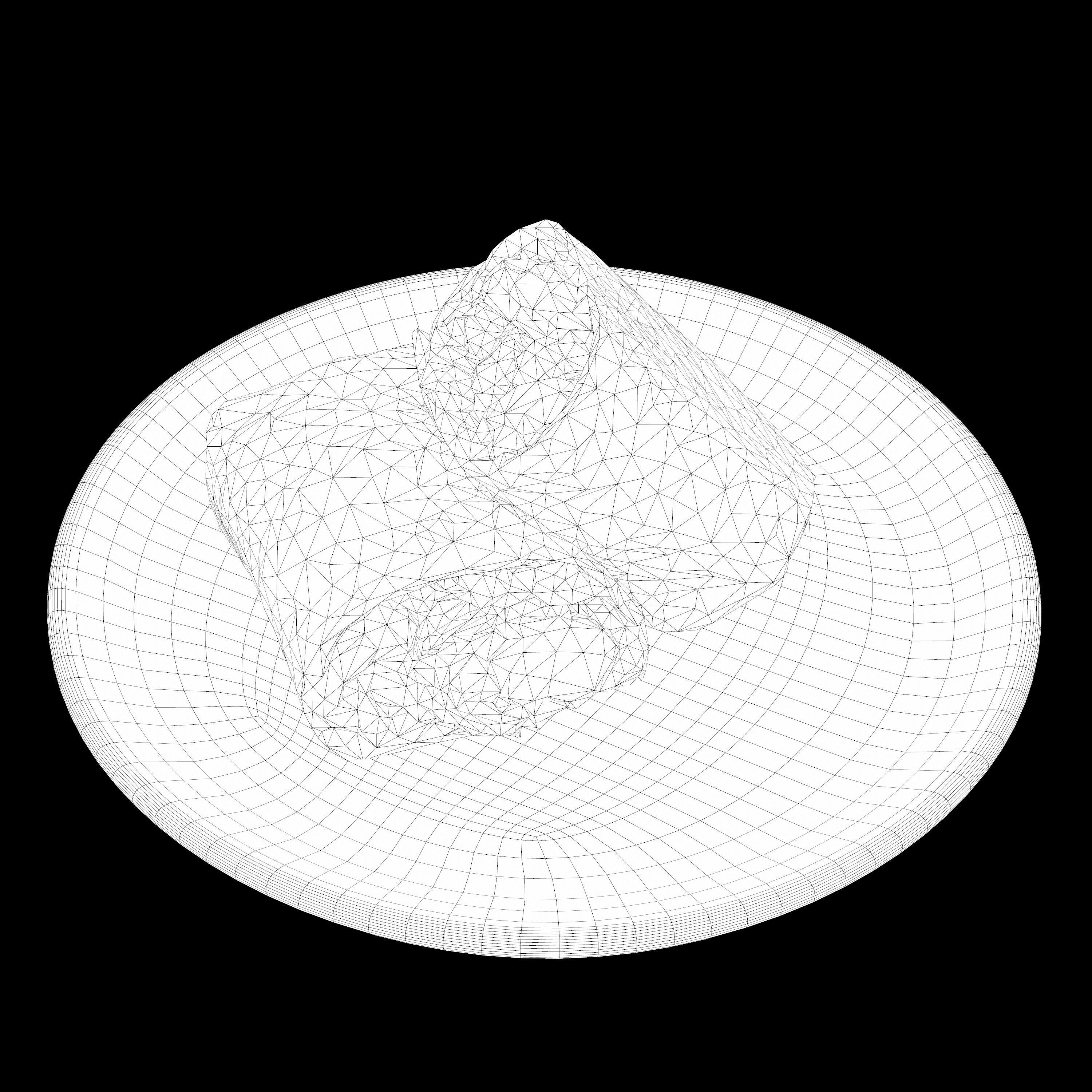 shawarma Low-poly 3D model burrito on plate Low-poly 3D model_13