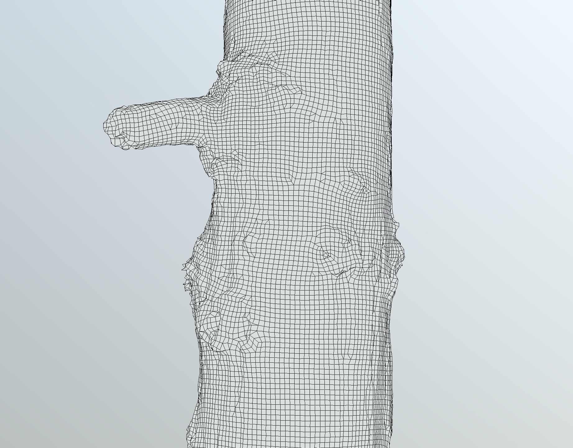 Thin oak tree trunk Low-poly 3D model_14