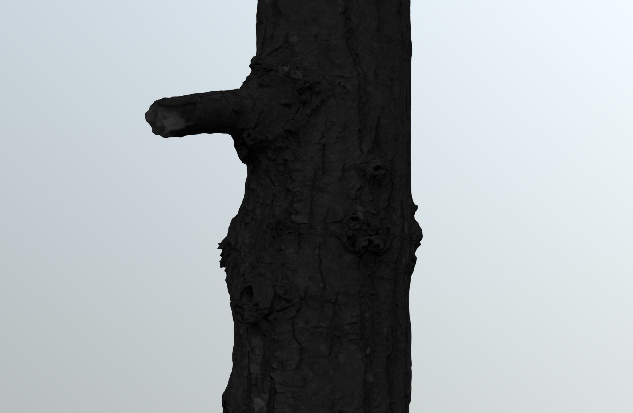 Thin oak tree trunk Low-poly 3D model_10
