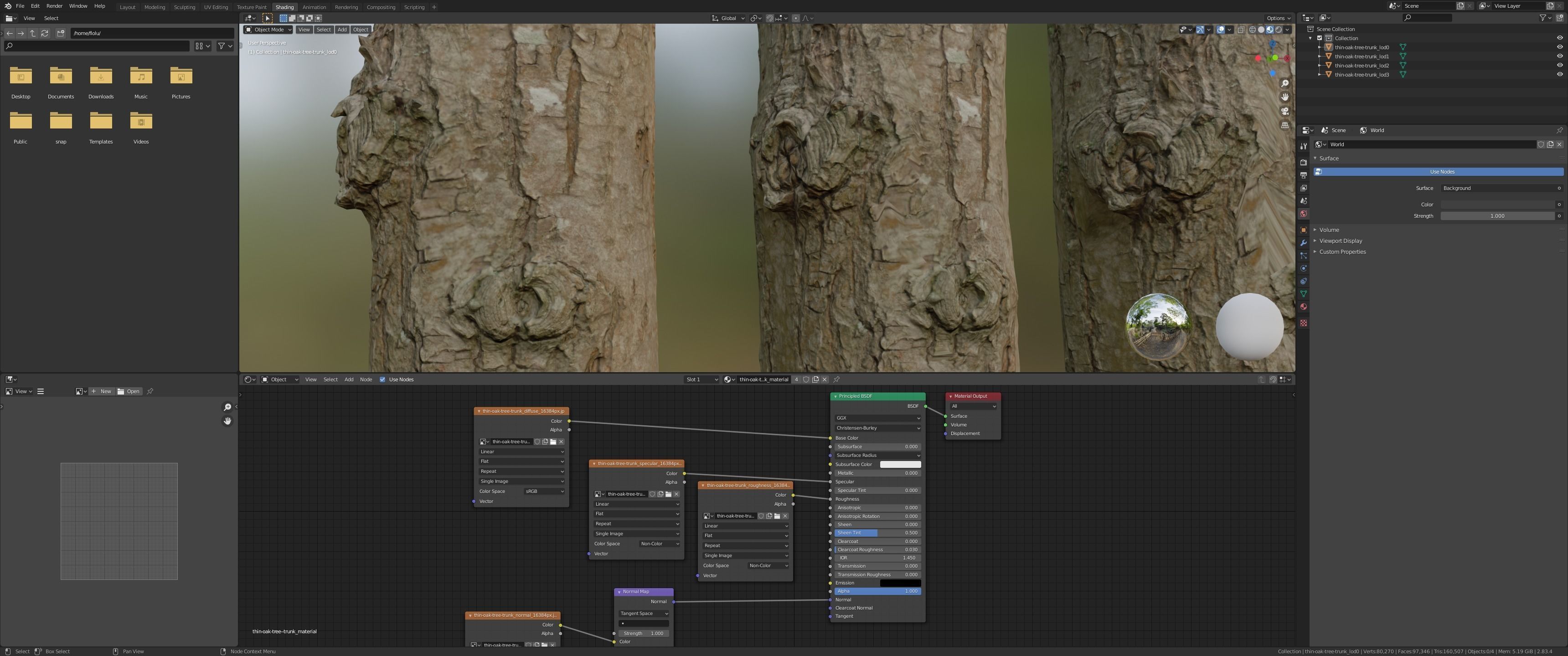 Thin oak tree trunk Low-poly 3D model_24
