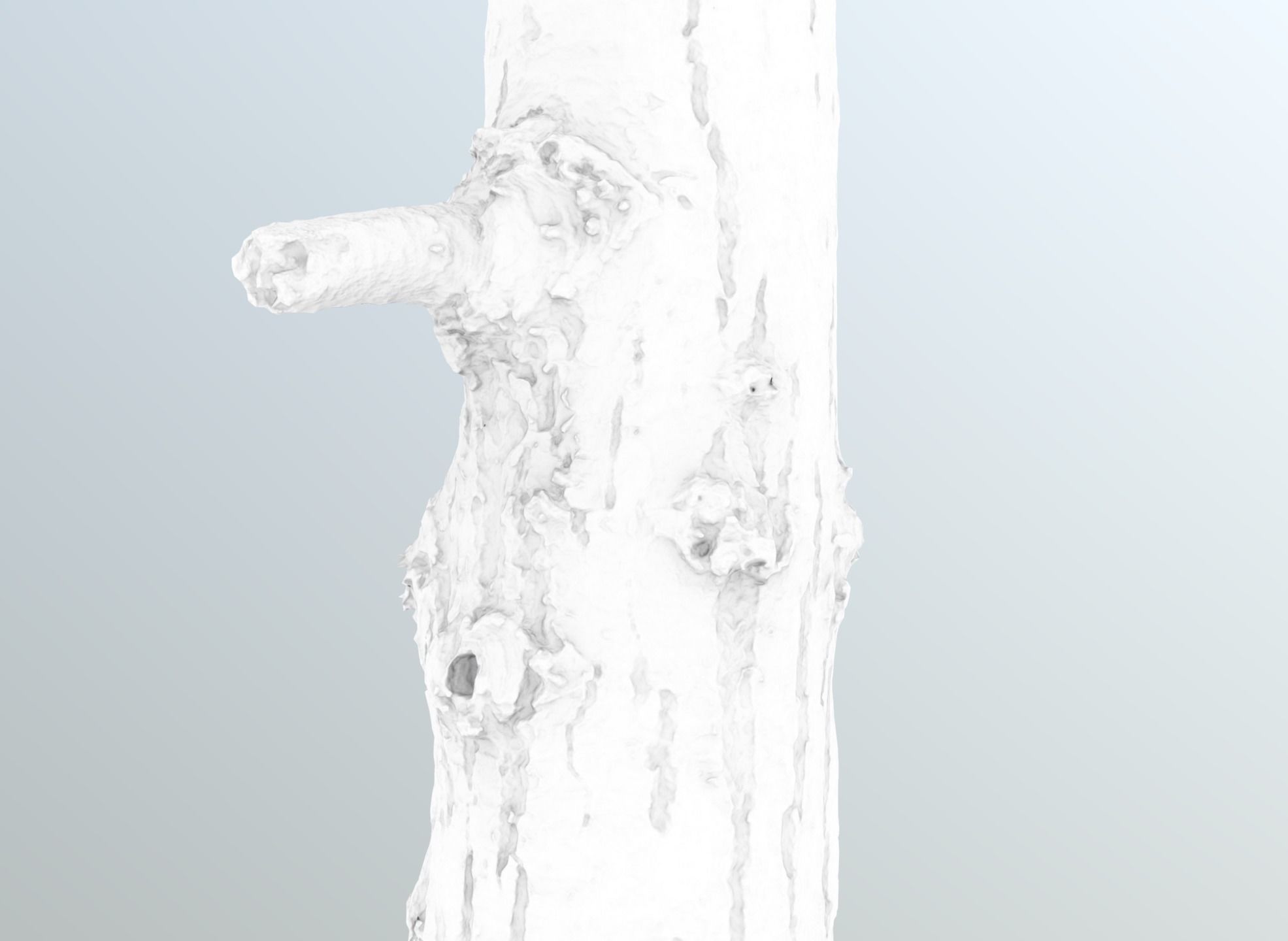 Thin oak tree trunk Low-poly 3D model_12