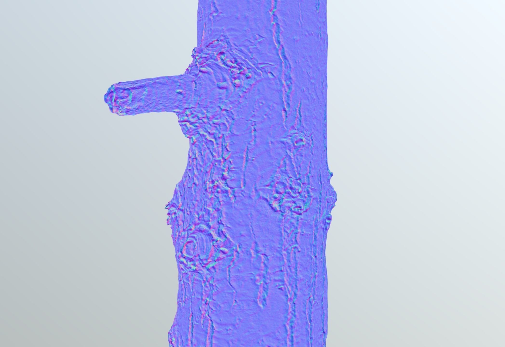 Thin oak tree trunk Low-poly 3D model_11