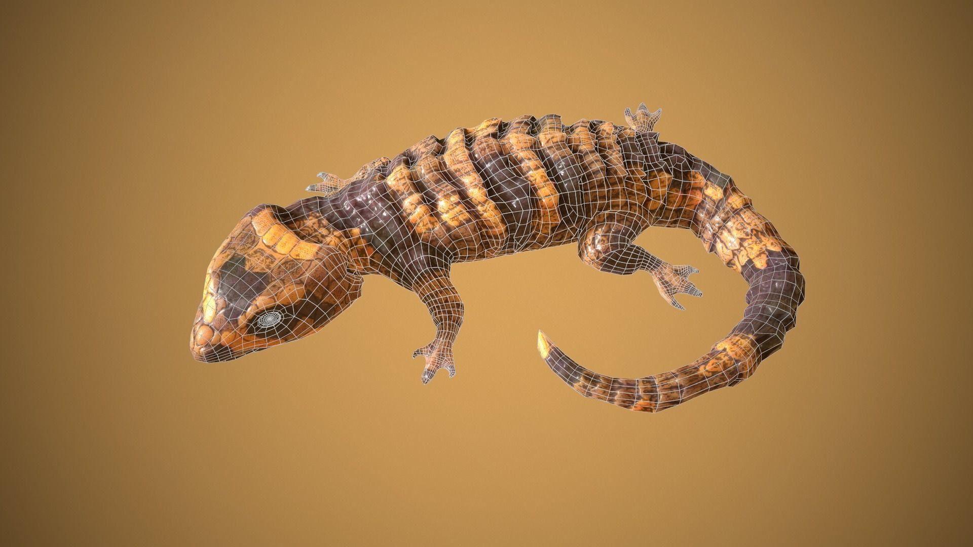 Lizard Low-poly 3D model_11