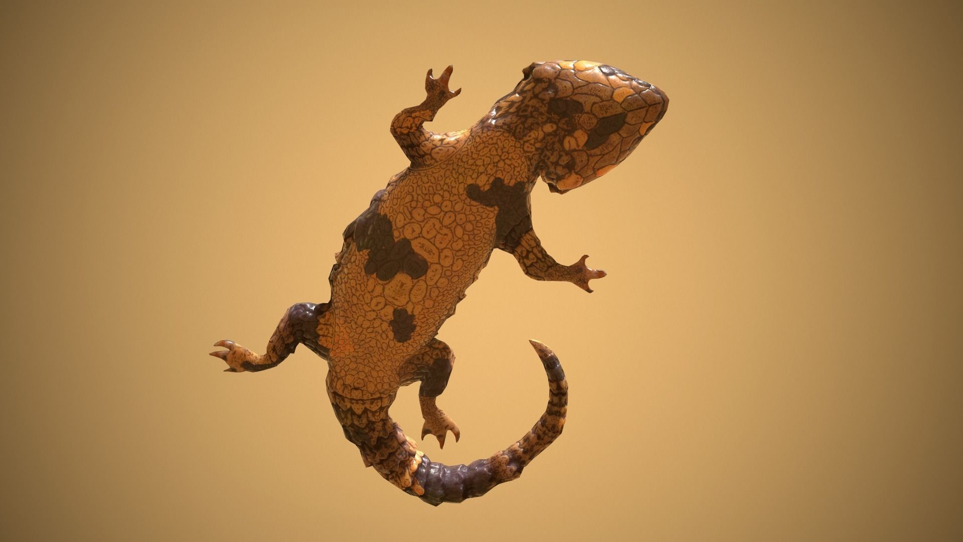 Lizard Low-poly 3D model_10