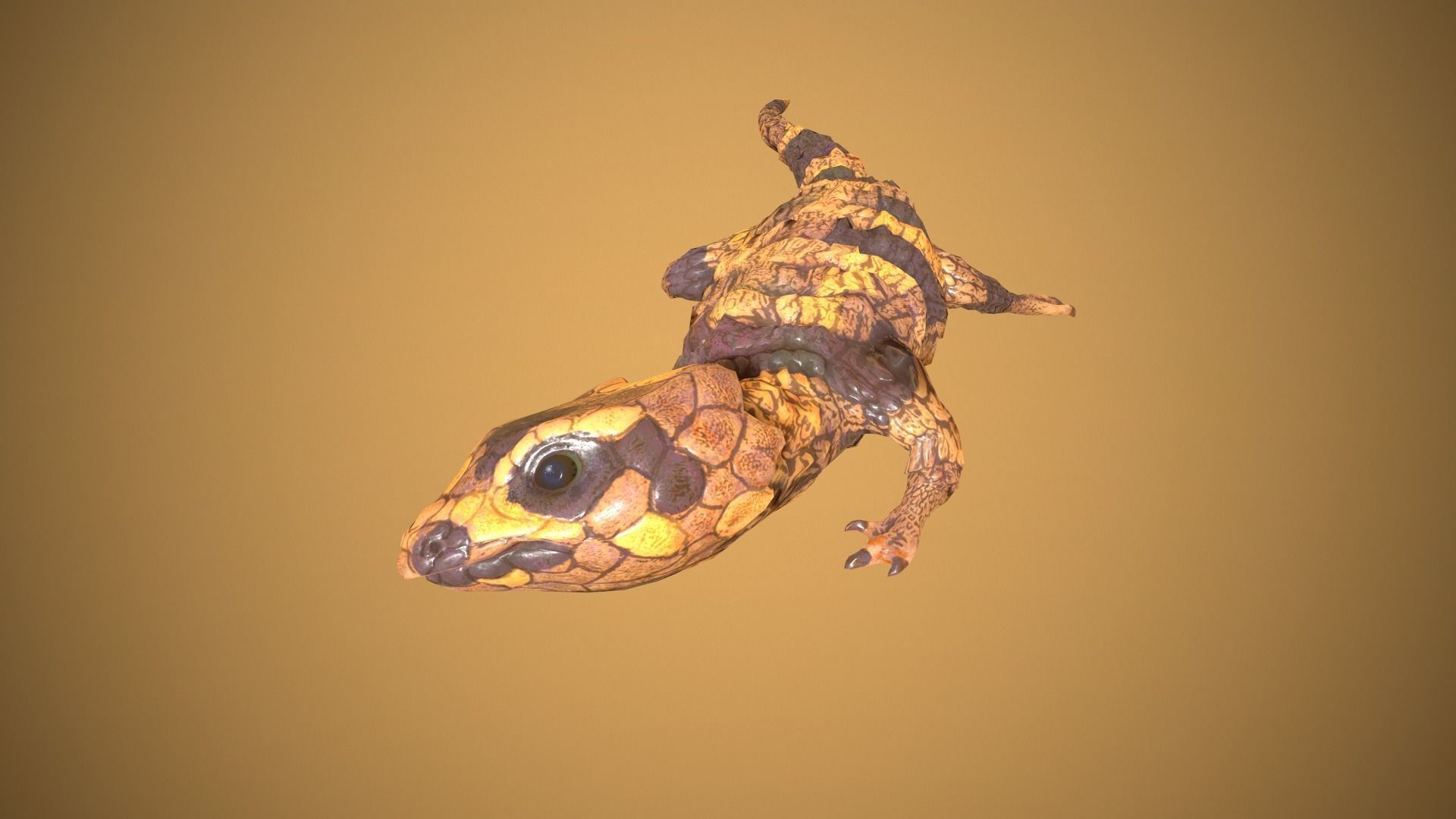 Lizard Low-poly 3D model_6