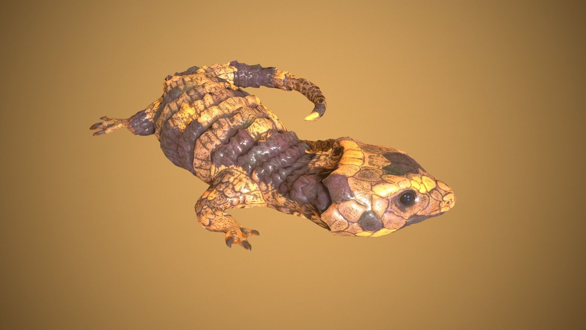 Lizard Low-poly 3D model_9