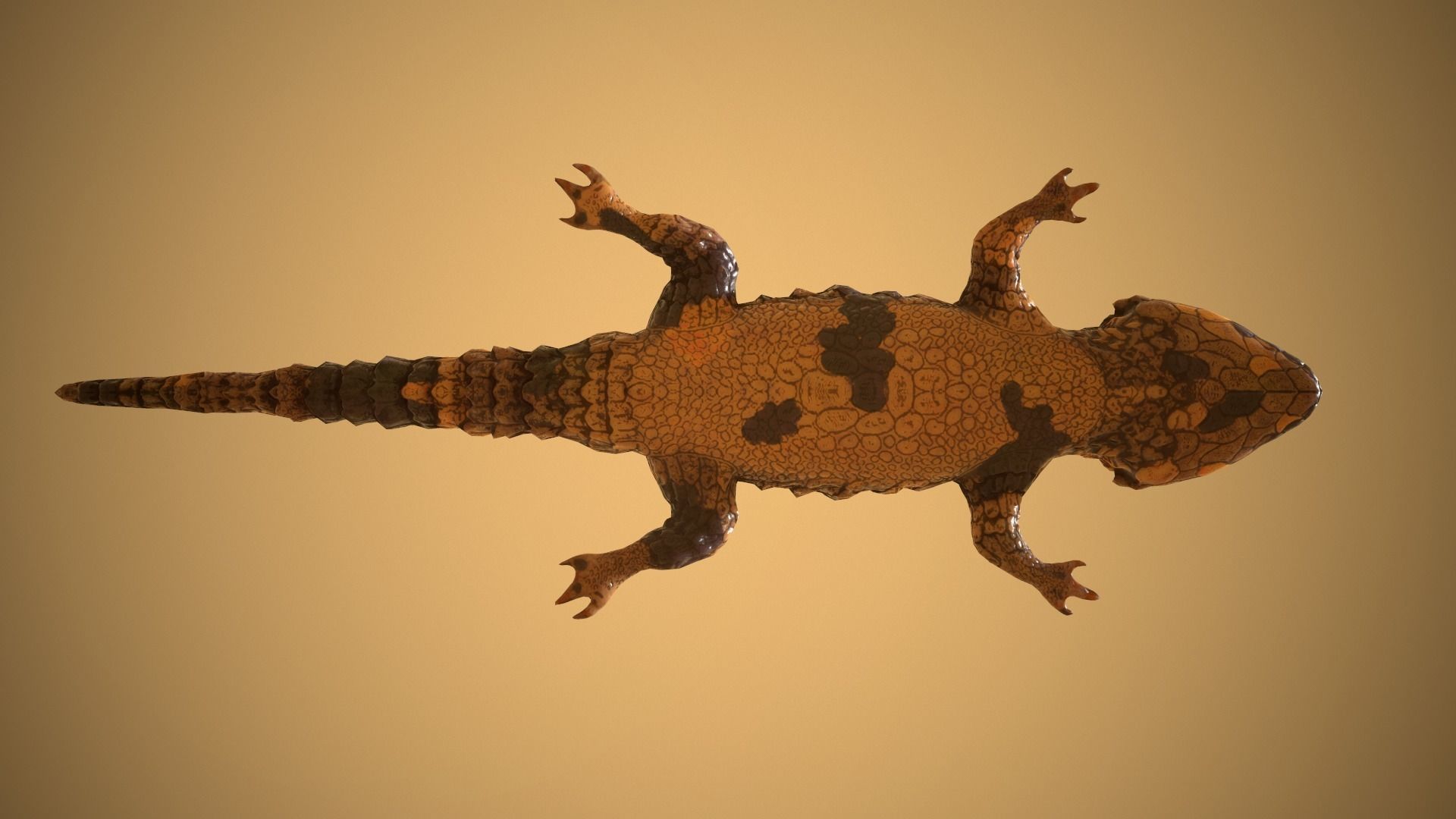 Lizard Low-poly 3D model_5