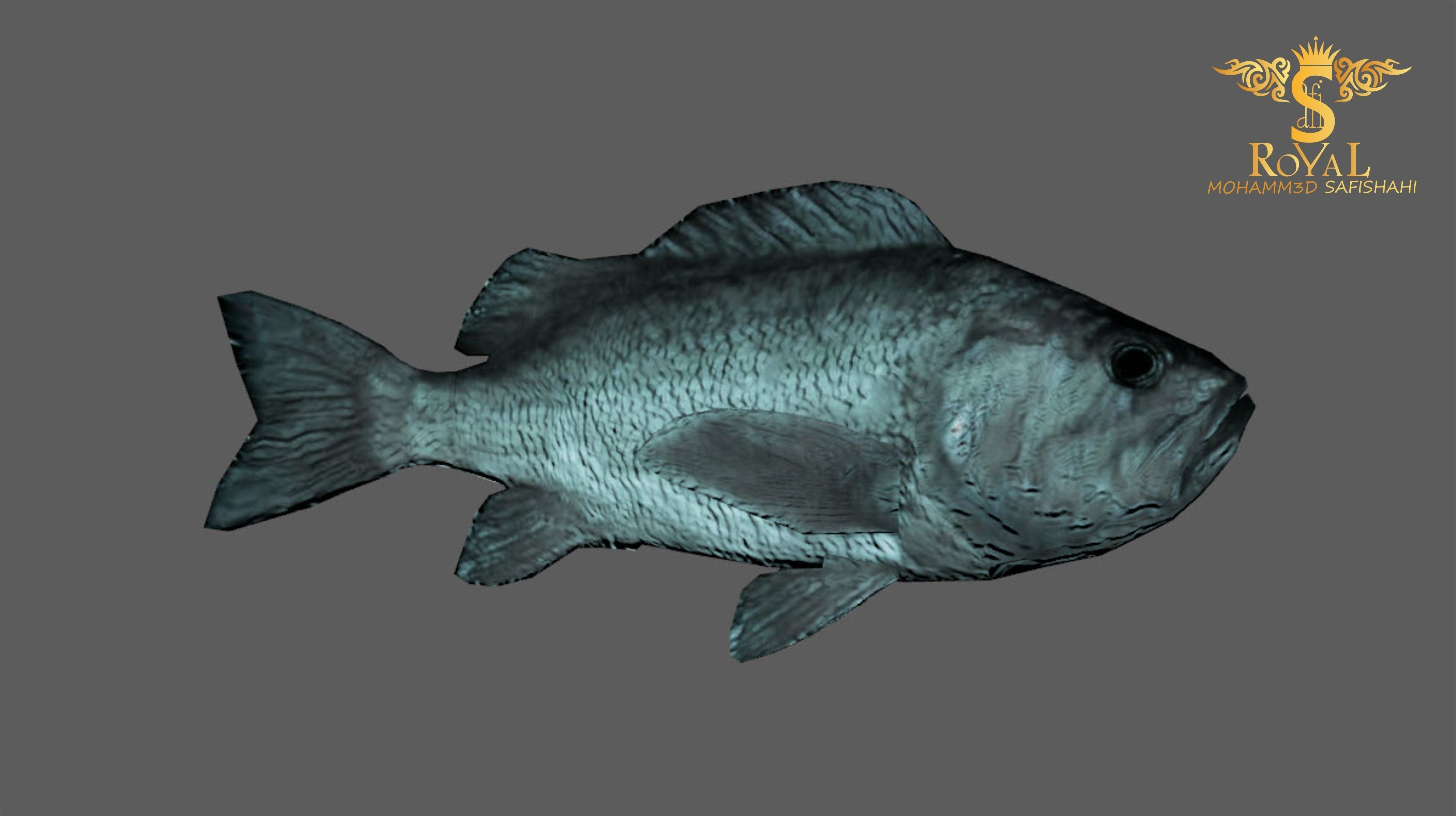 Animated Black Rock Fish - Loop Animation with 1160 Frames Low-poly 3D model_3