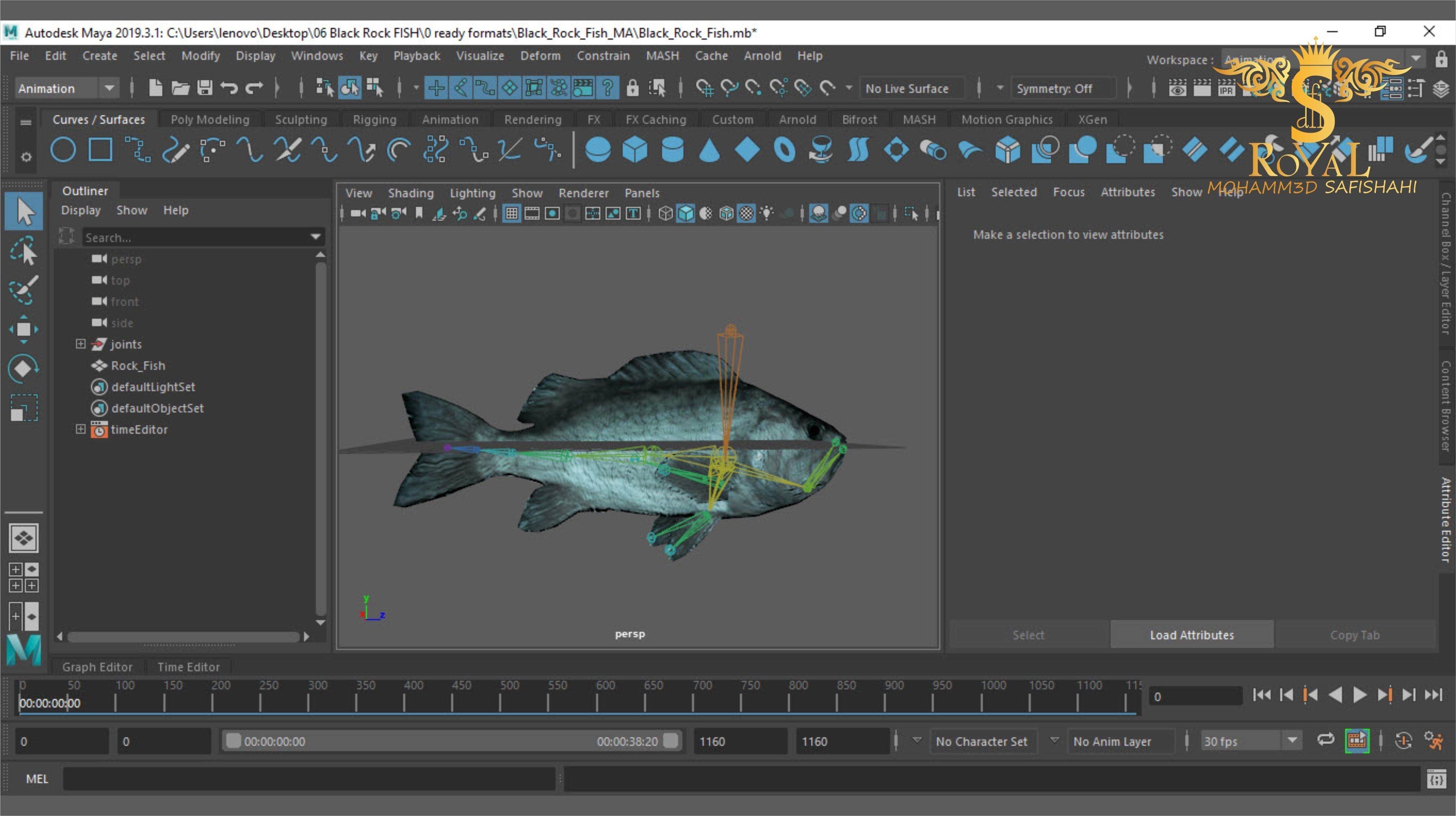 Animated Black Rock Fish - Loop Animation with 1160 Frames Low-poly 3D model_11