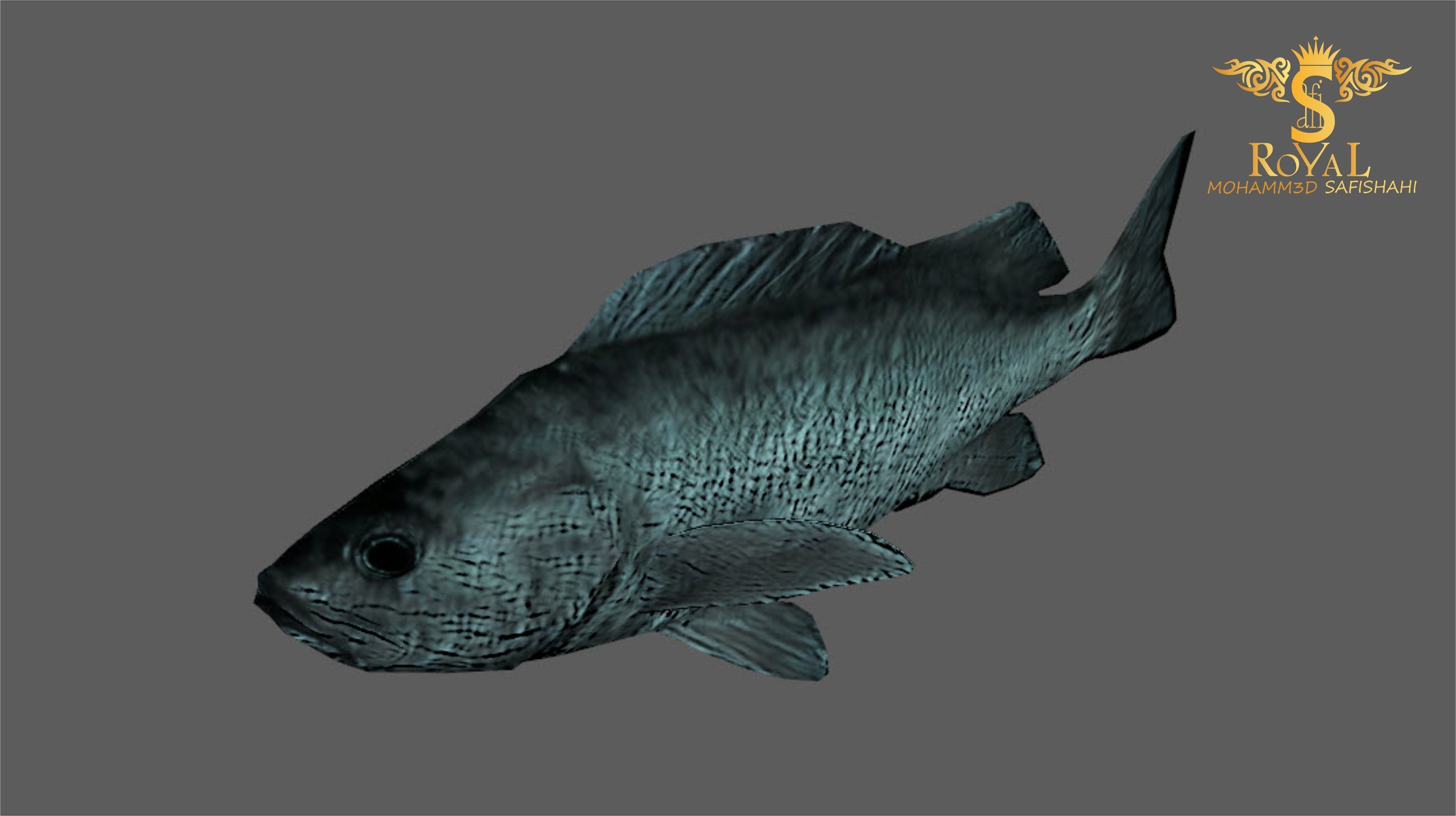 Animated Black Rock Fish - Loop Animation with 1160 Frames Low-poly 3D model_4