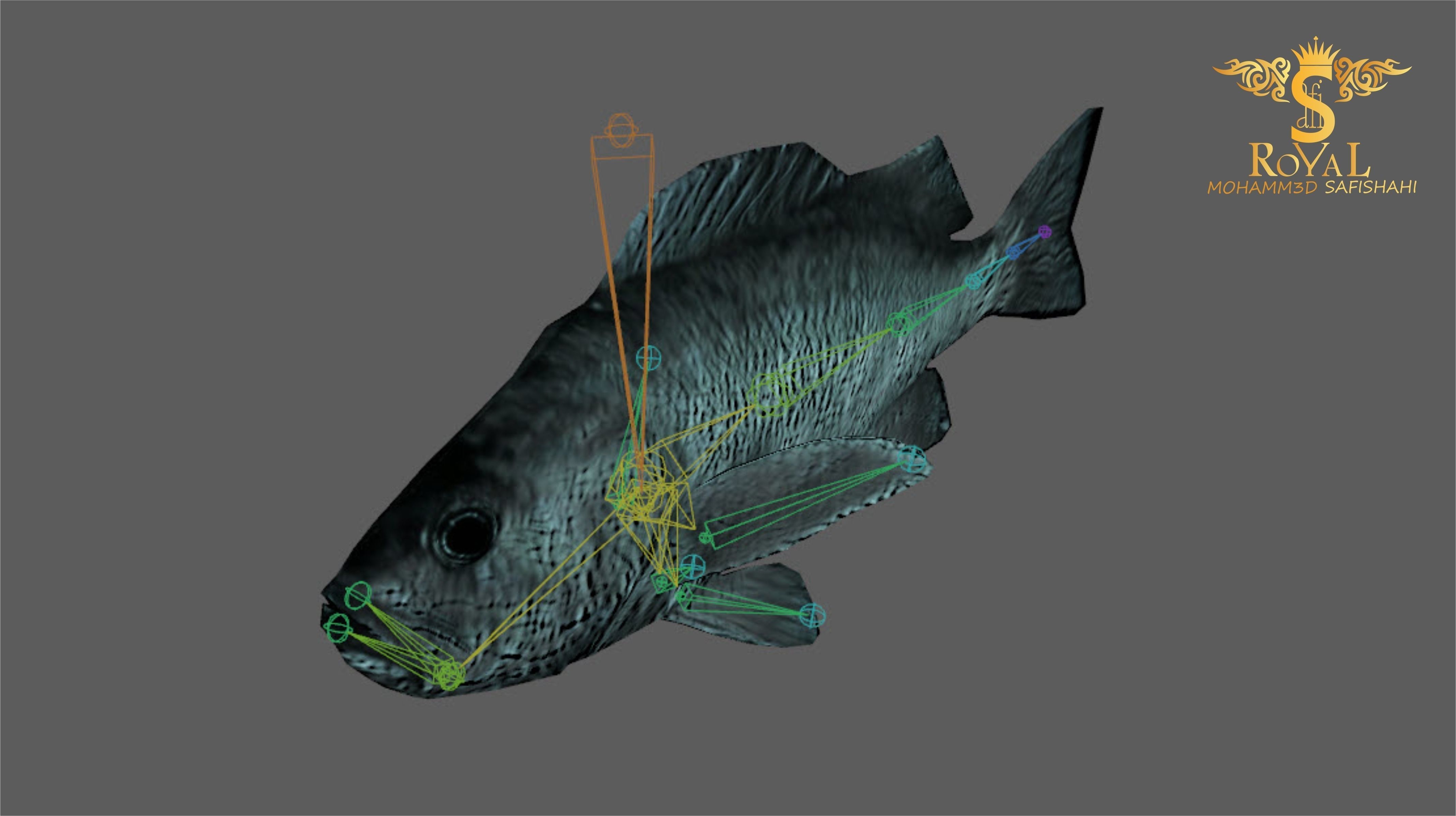 Animated Black Rock Fish - Loop Animation with 1160 Frames Low-poly 3D model_6