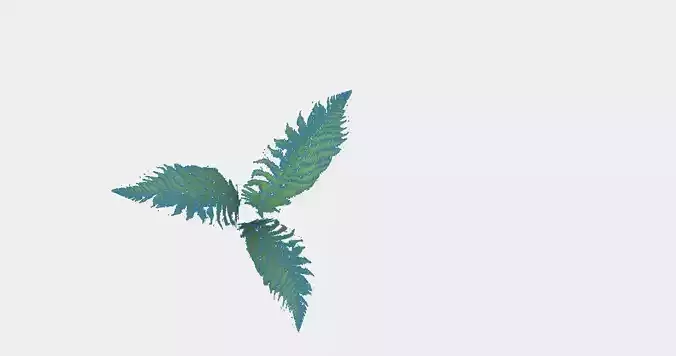 Bulk of Six Different Ferns or Brakes