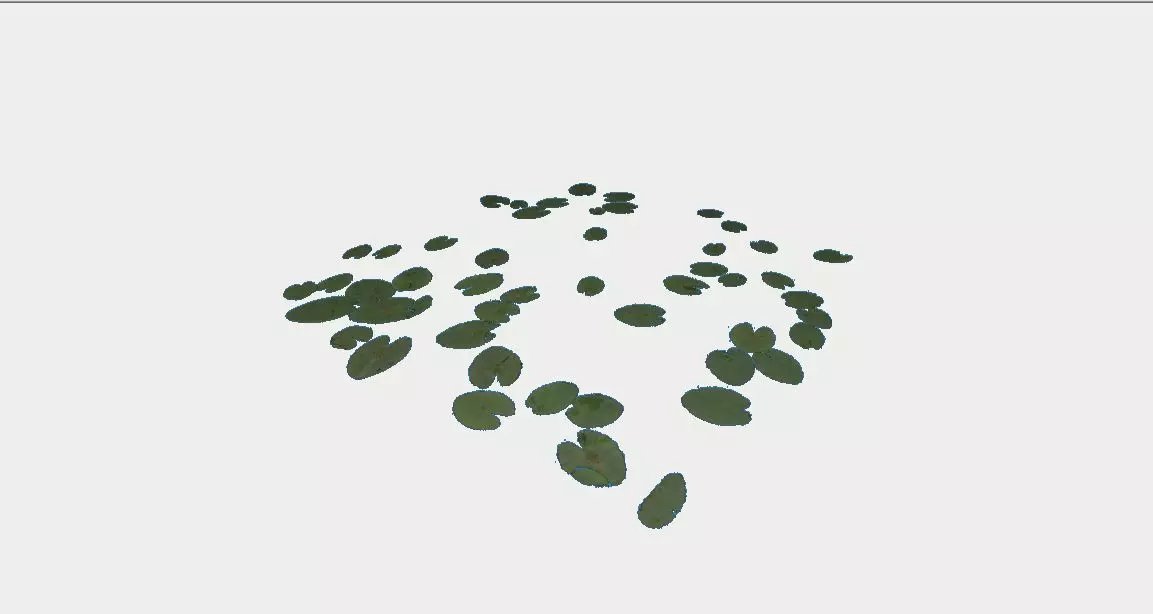 Water lily Free 3D model